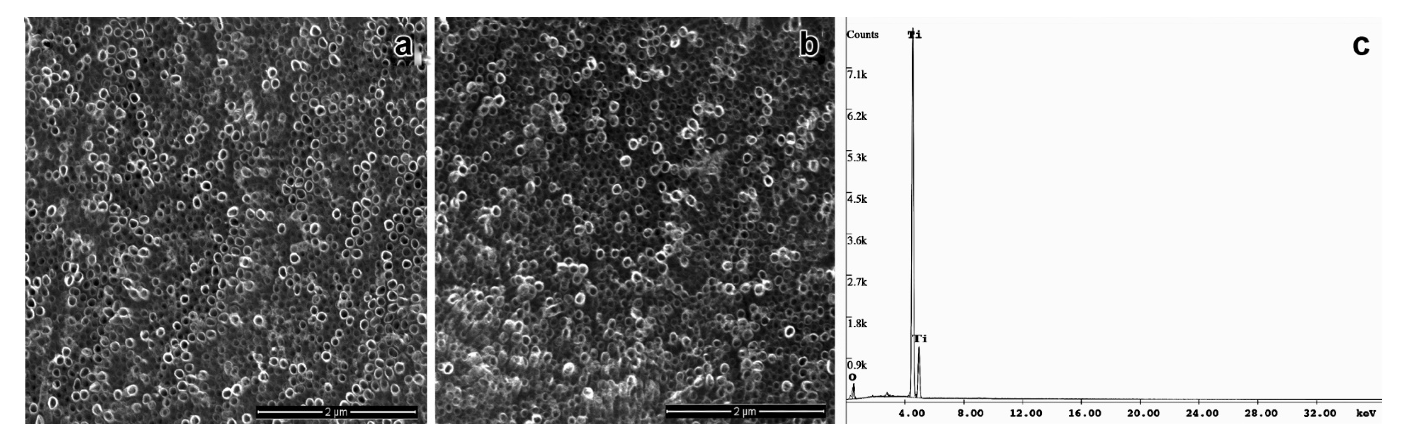 Biomolecules 11 01748 g001