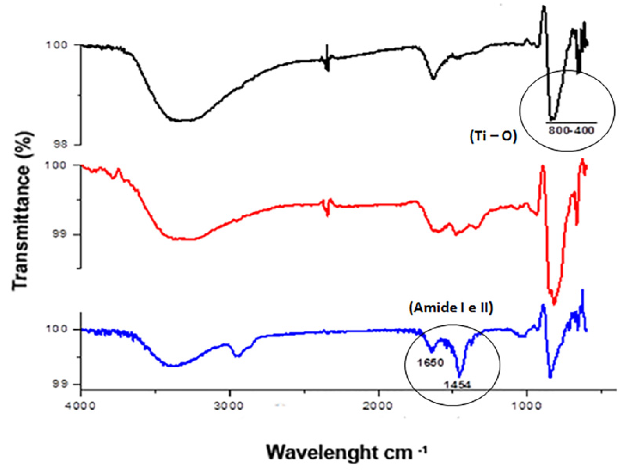 Biomolecules 11 01748 g003