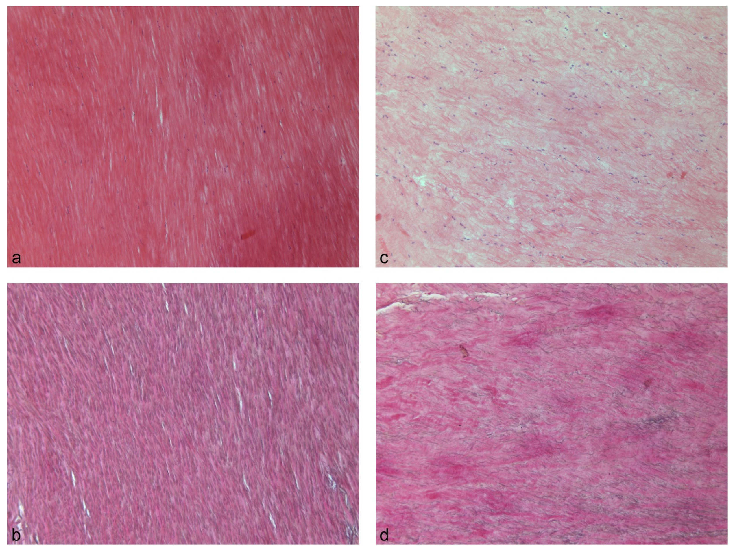 Biomolecules 11 01752 g002
