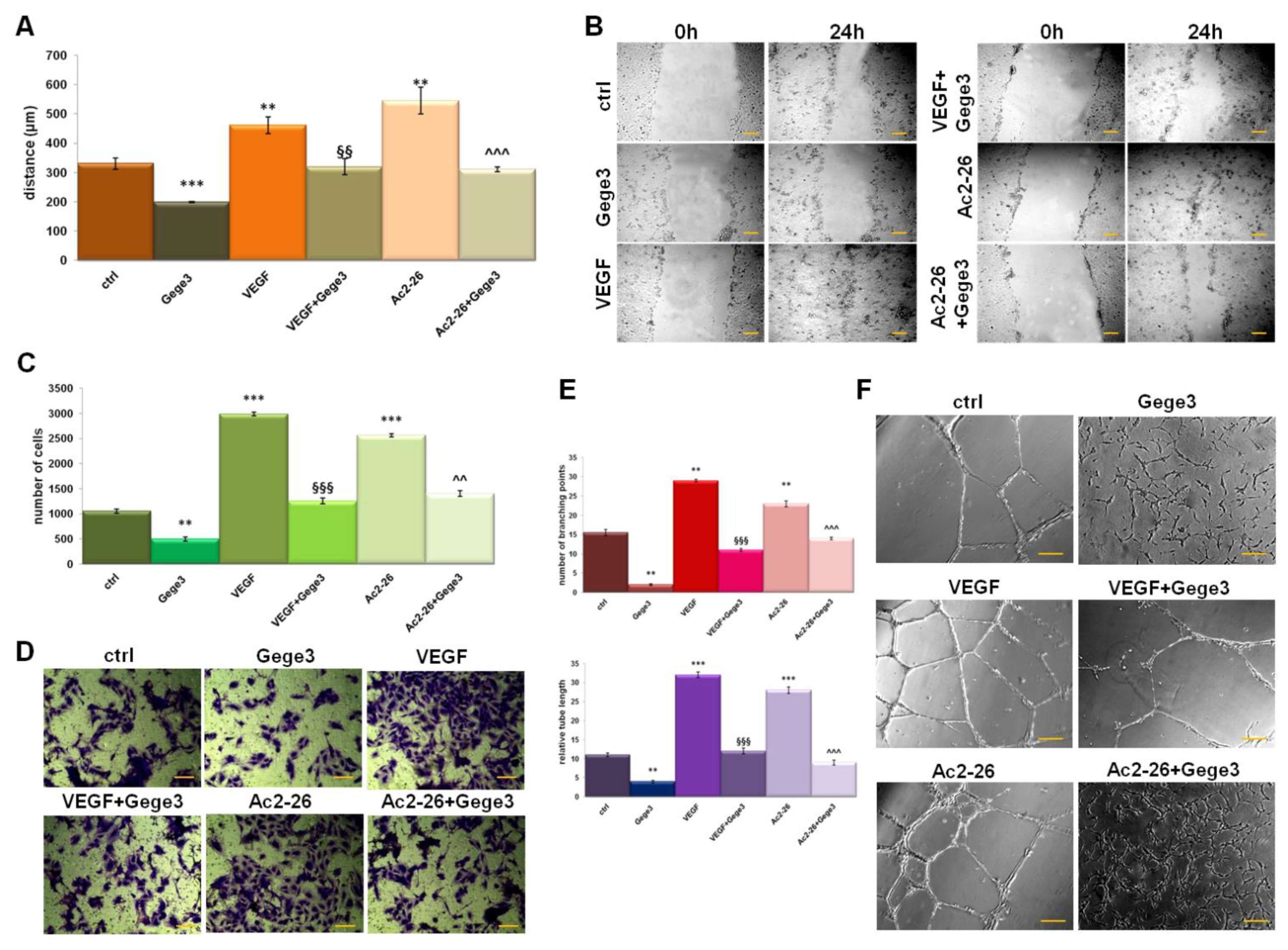 Biomolecules 11 01758 g001 Biomolecules 11 01758 g001