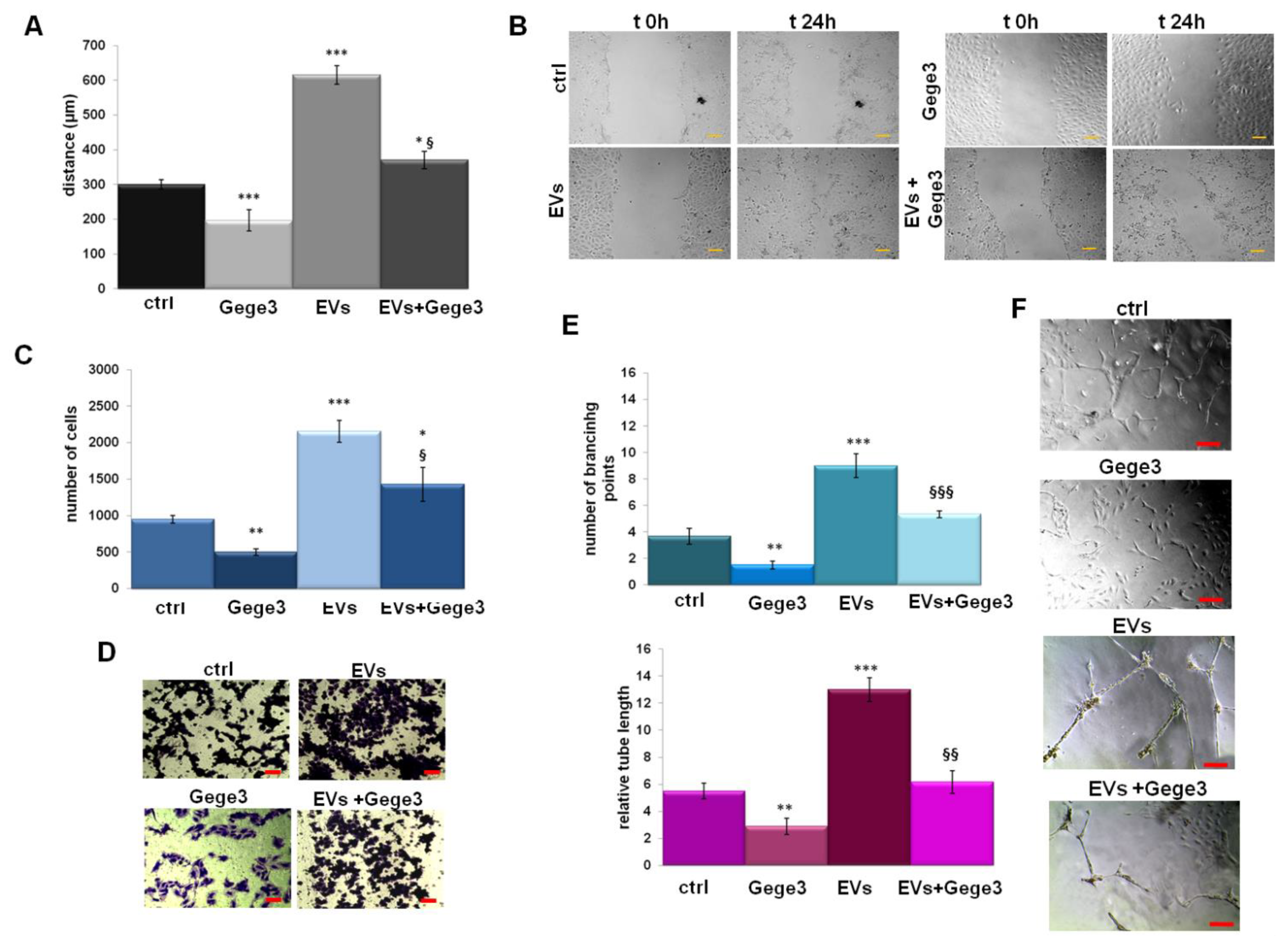 Biomolecules 11 01758 g004 Biomolecules 11 01758 g004
