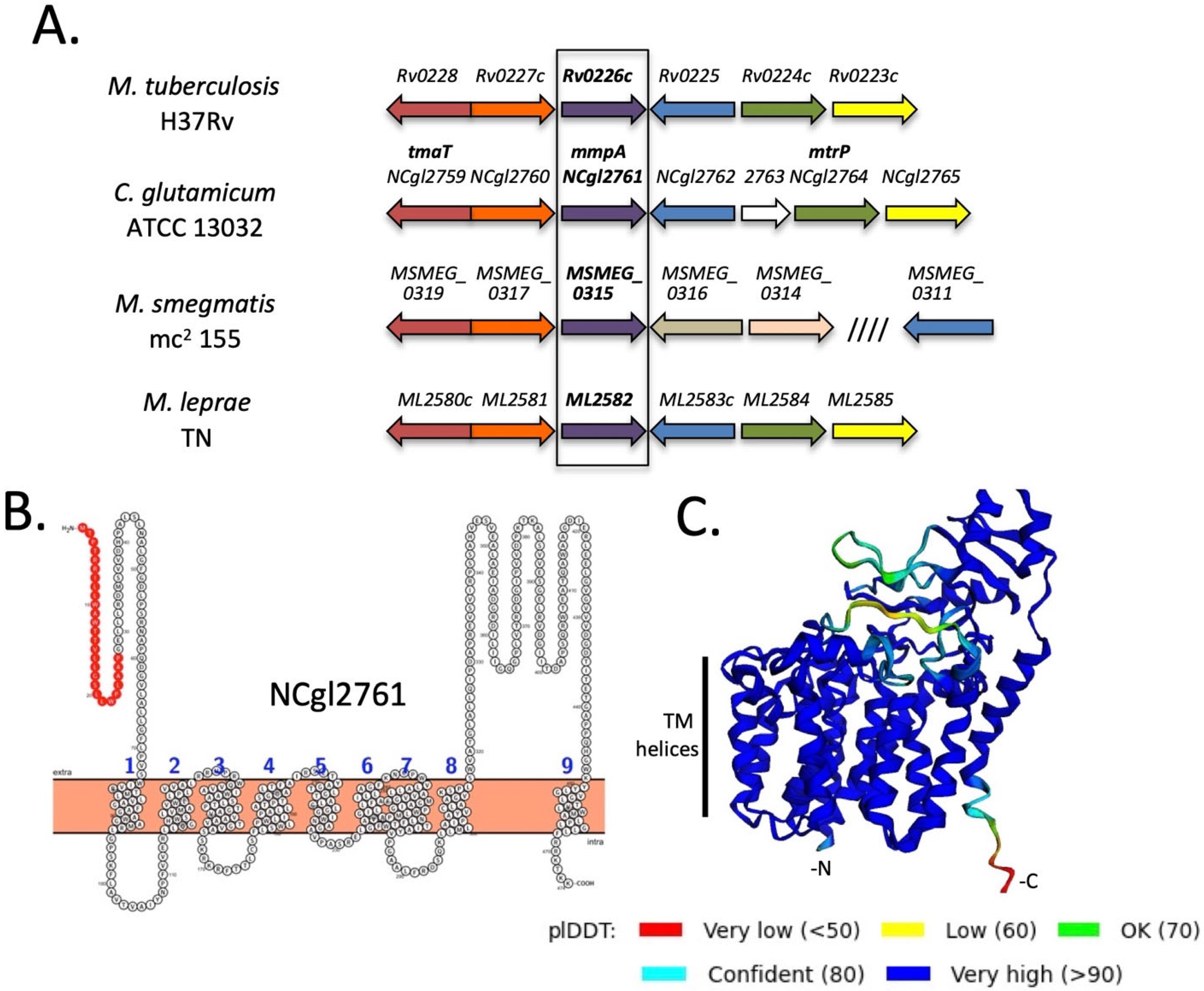 Biomolecules 11 01760 g001