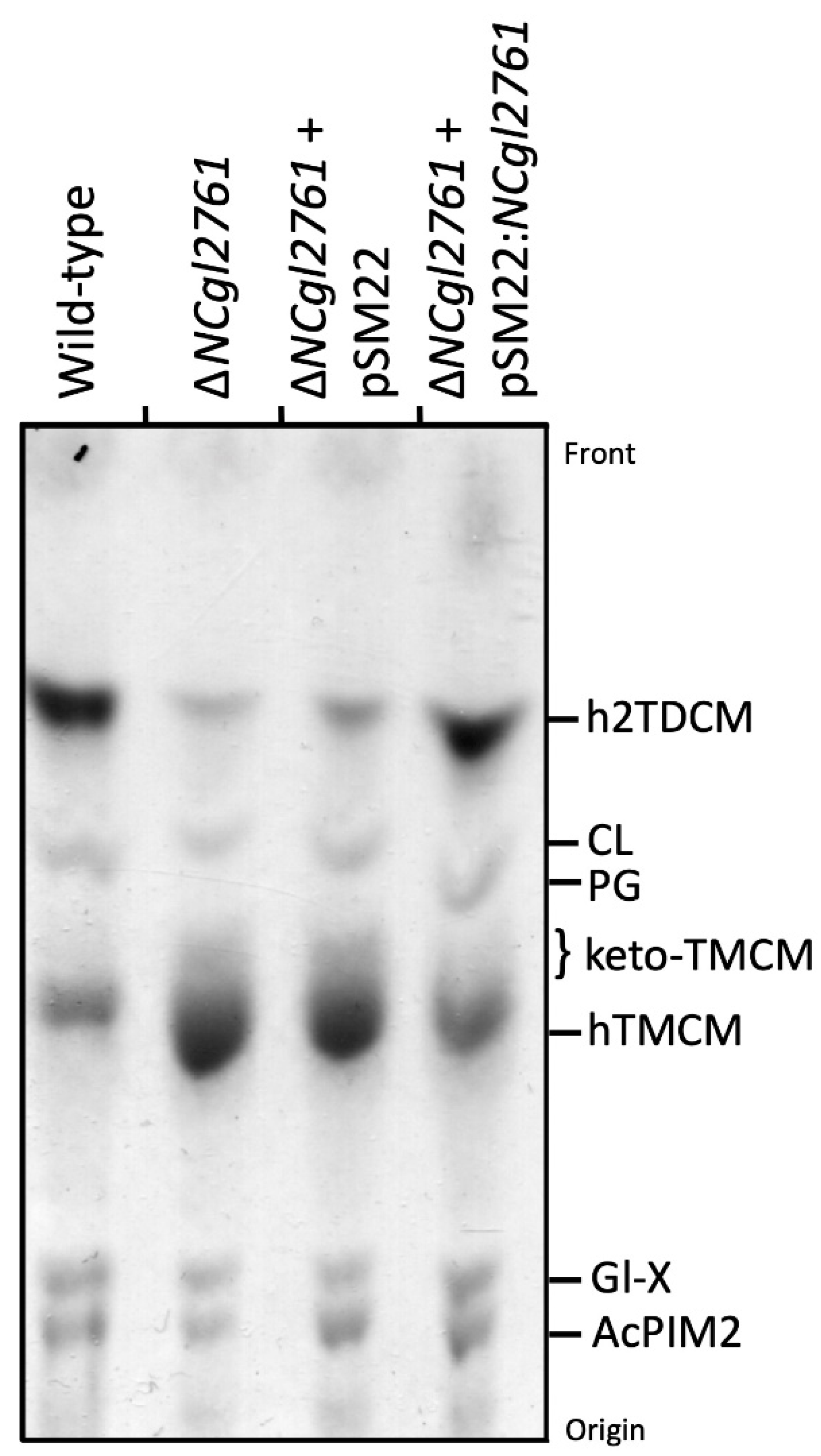 Biomolecules 11 01760 g004