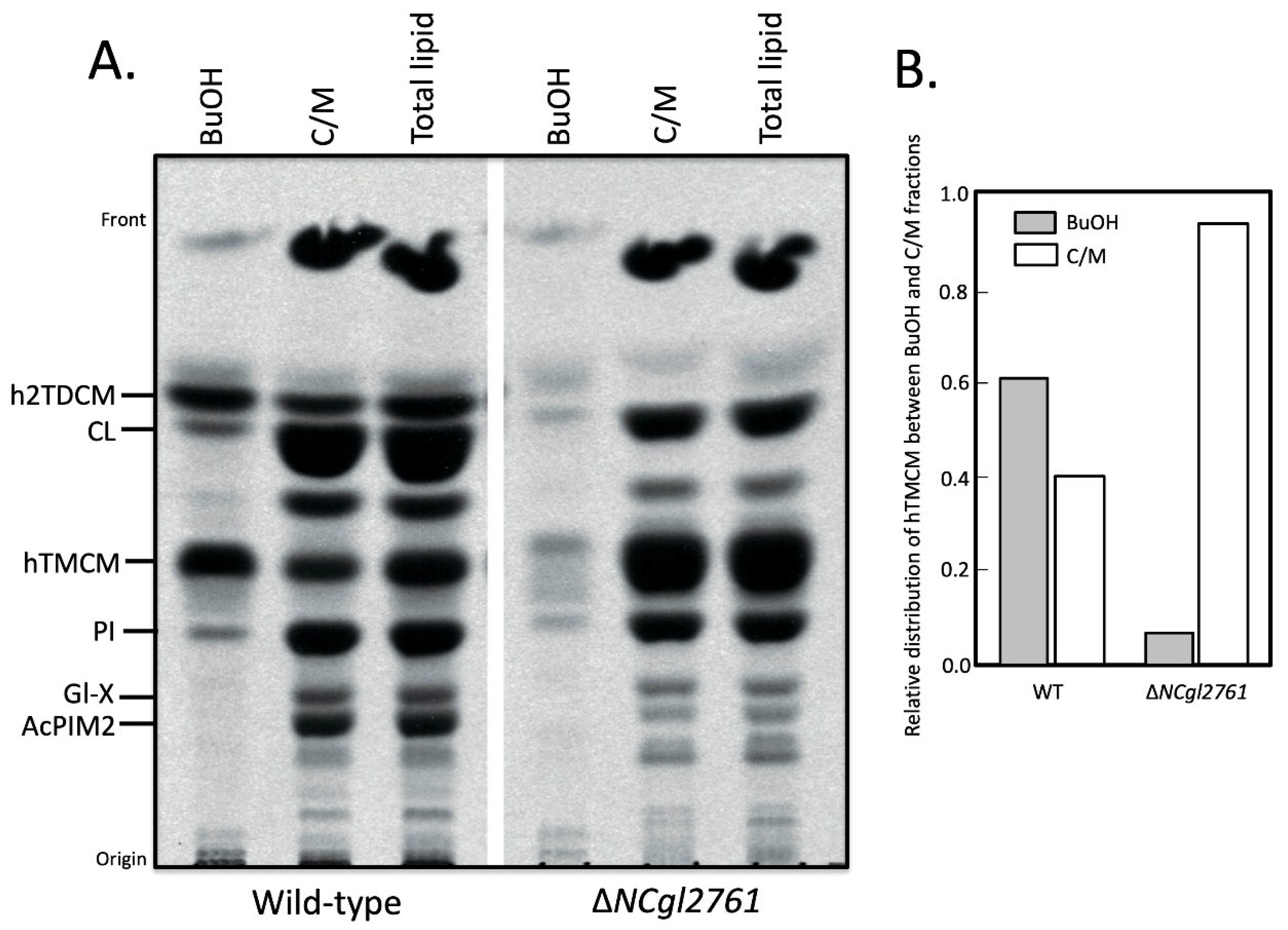 Biomolecules 11 01760 g005