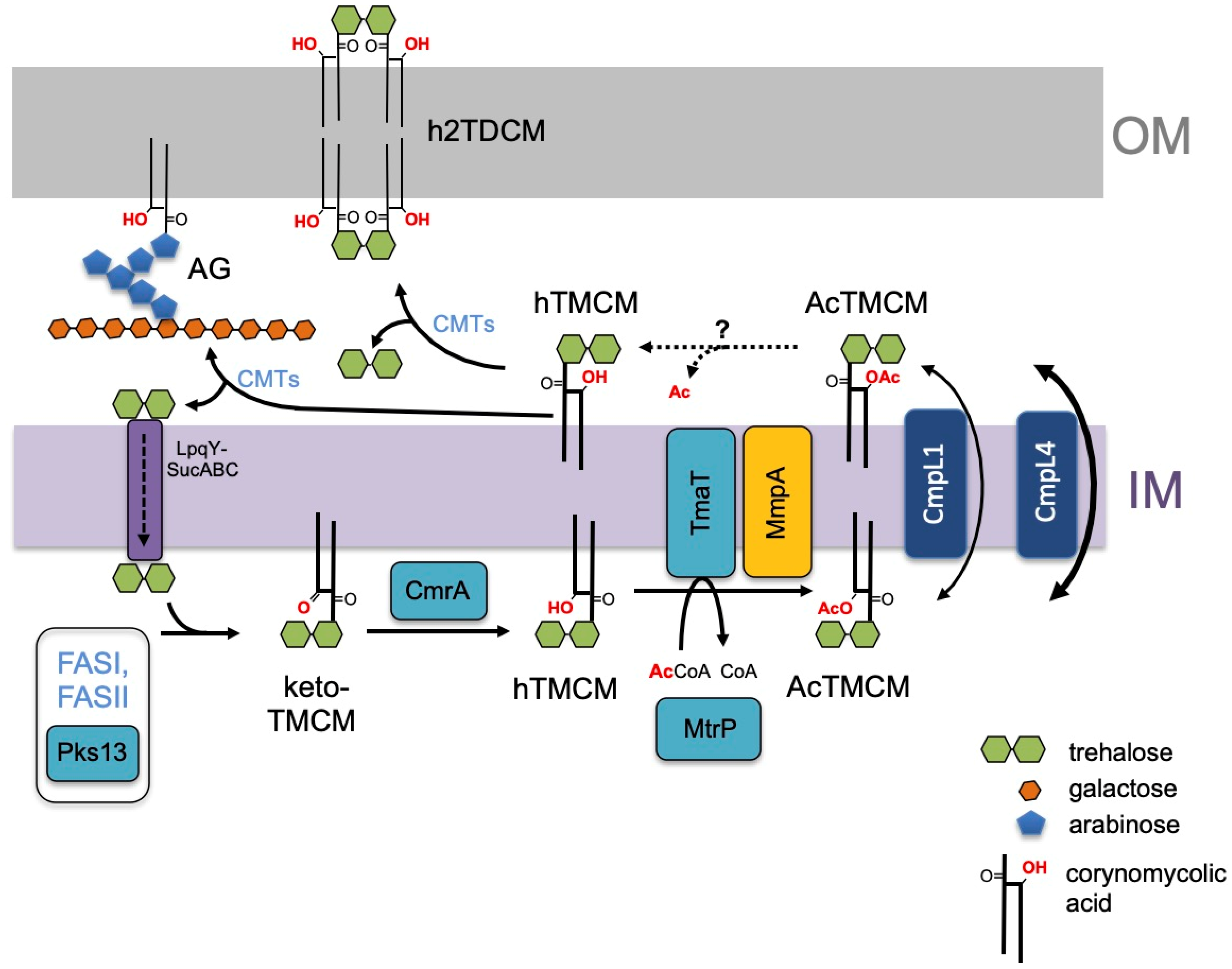 Biomolecules 11 01760 g007