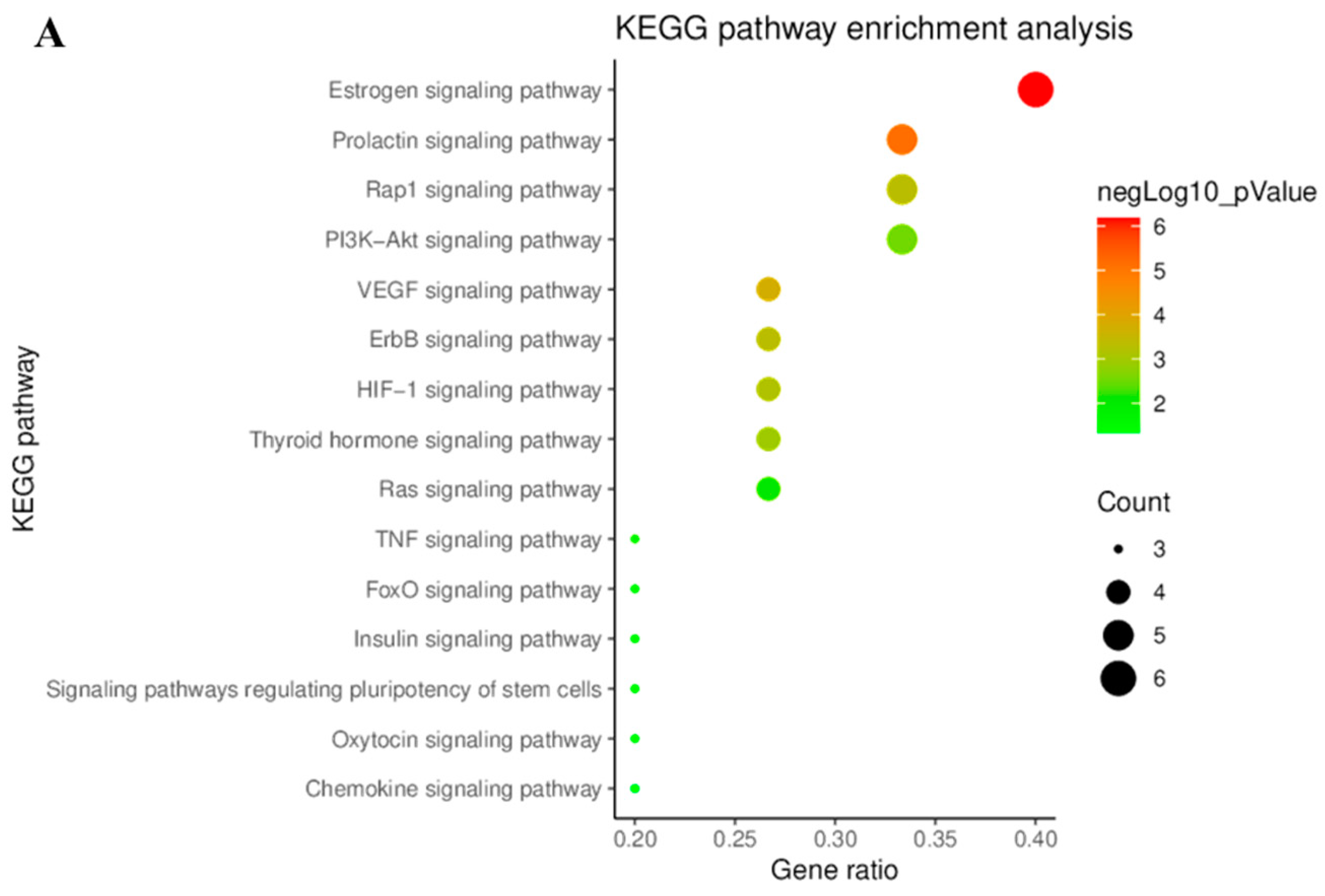 Biomolecules 11 01764 g004a Biomolecules 11 01764 g004a