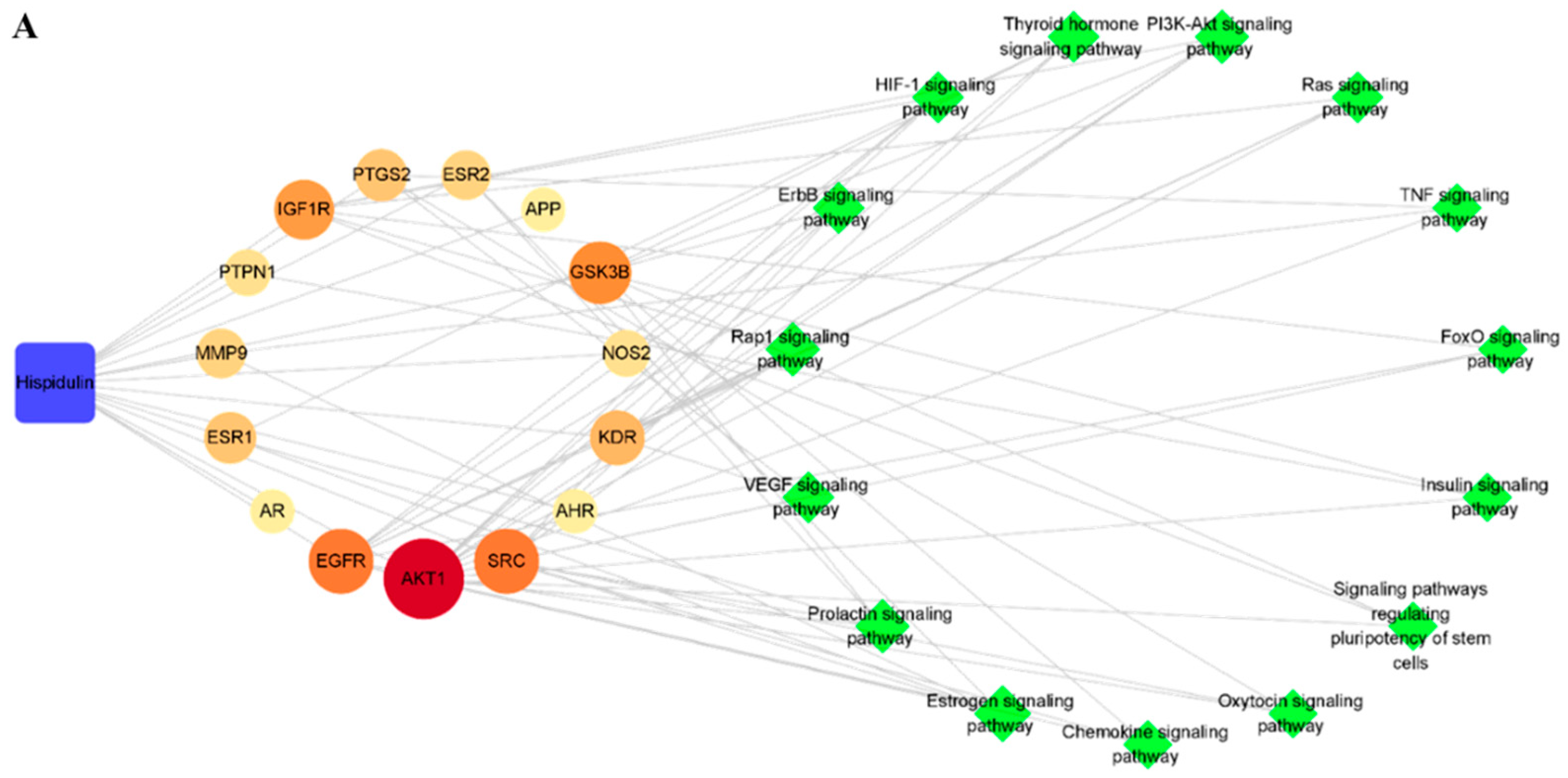 Biomolecules 11 01764 g005a Biomolecules 11 01764 g005a