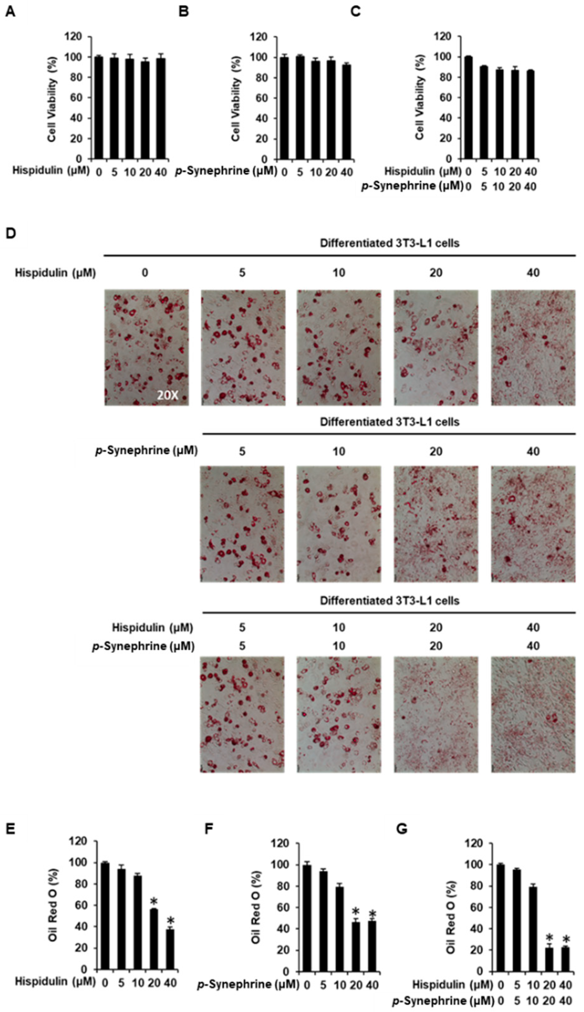 Biomolecules 11 01764 g006 Biomolecules 11 01764 g006