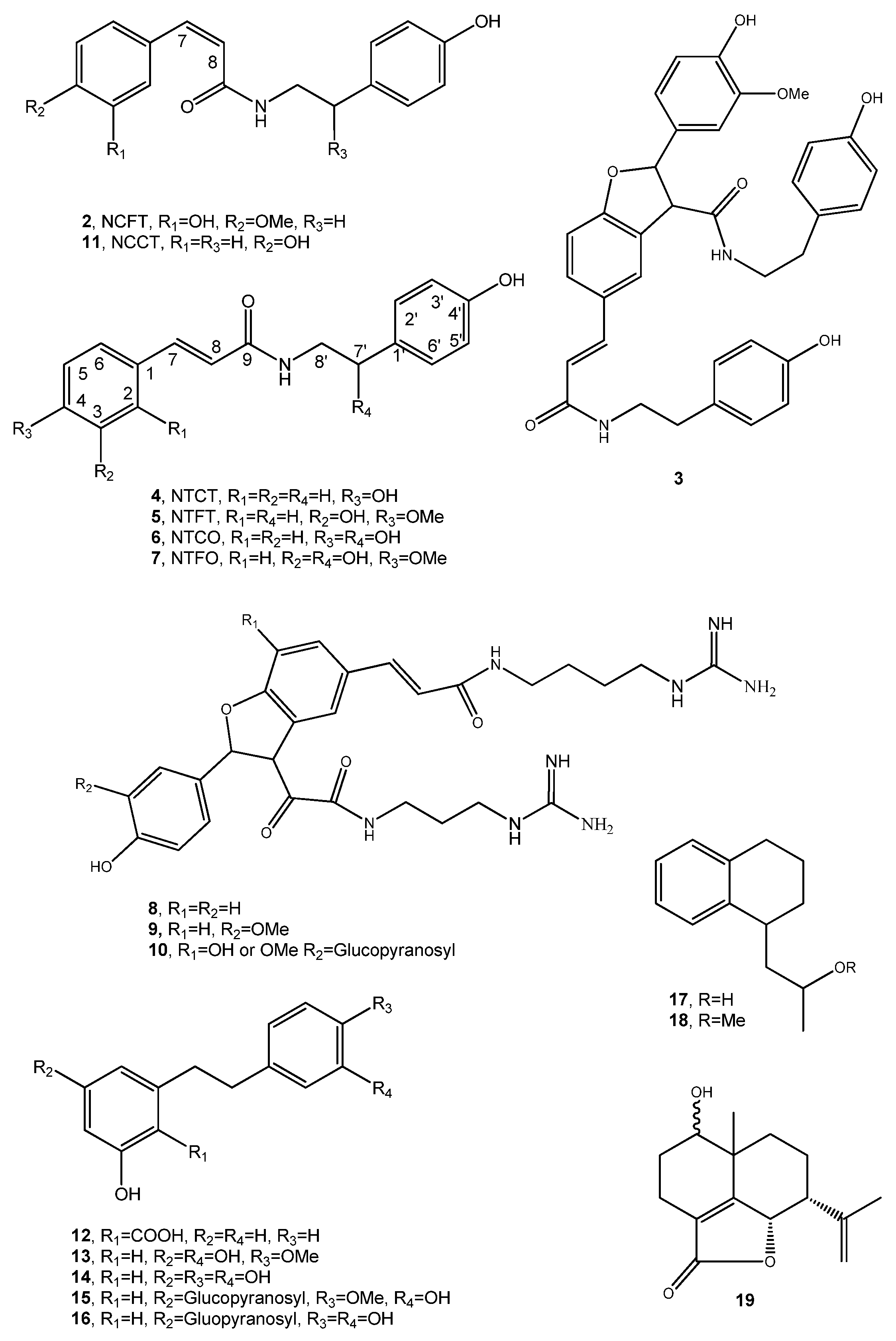 Biomolecules 11 01765 g002 Biomolecules 11 01765 g002