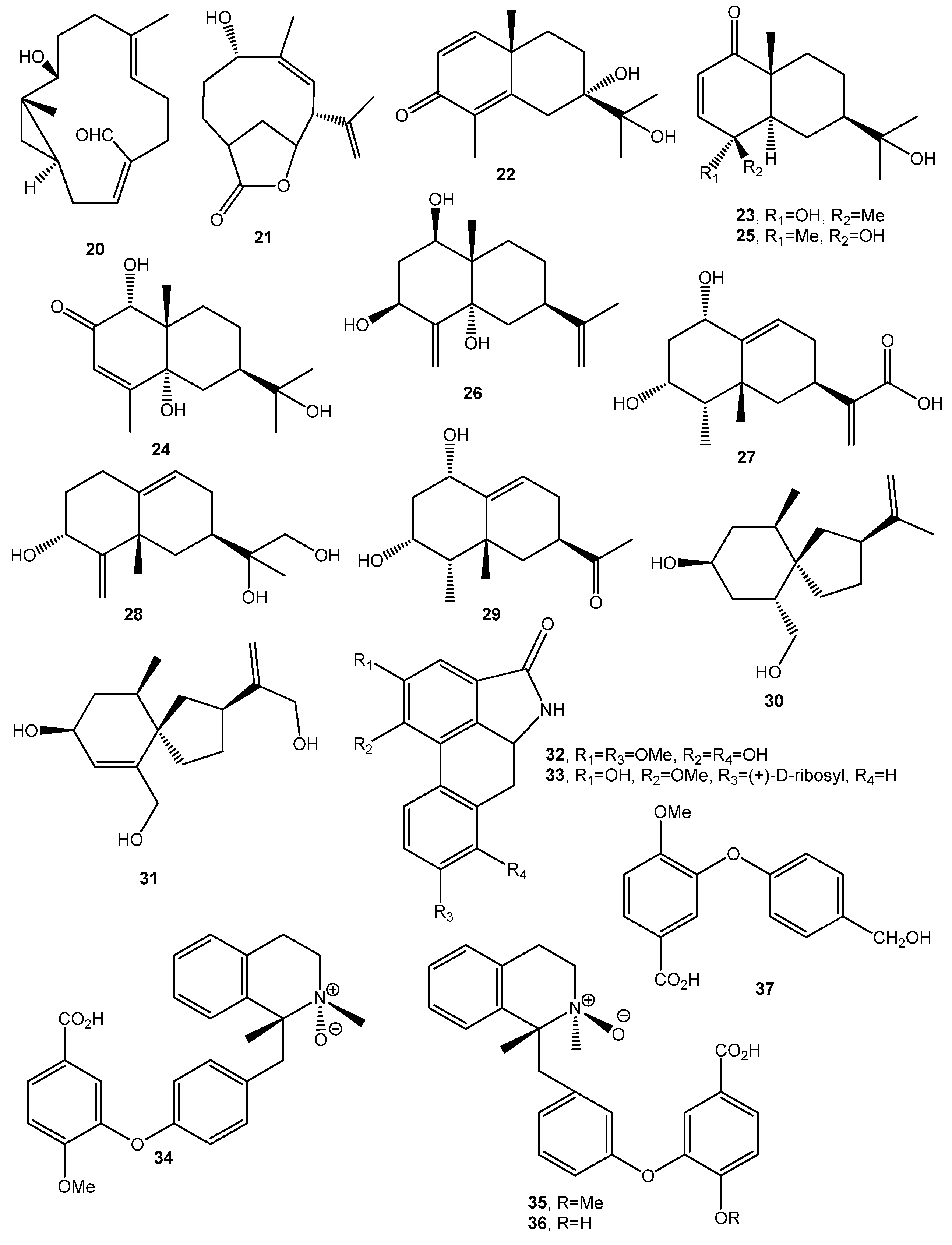 Biomolecules 11 01765 g003 Biomolecules 11 01765 g003