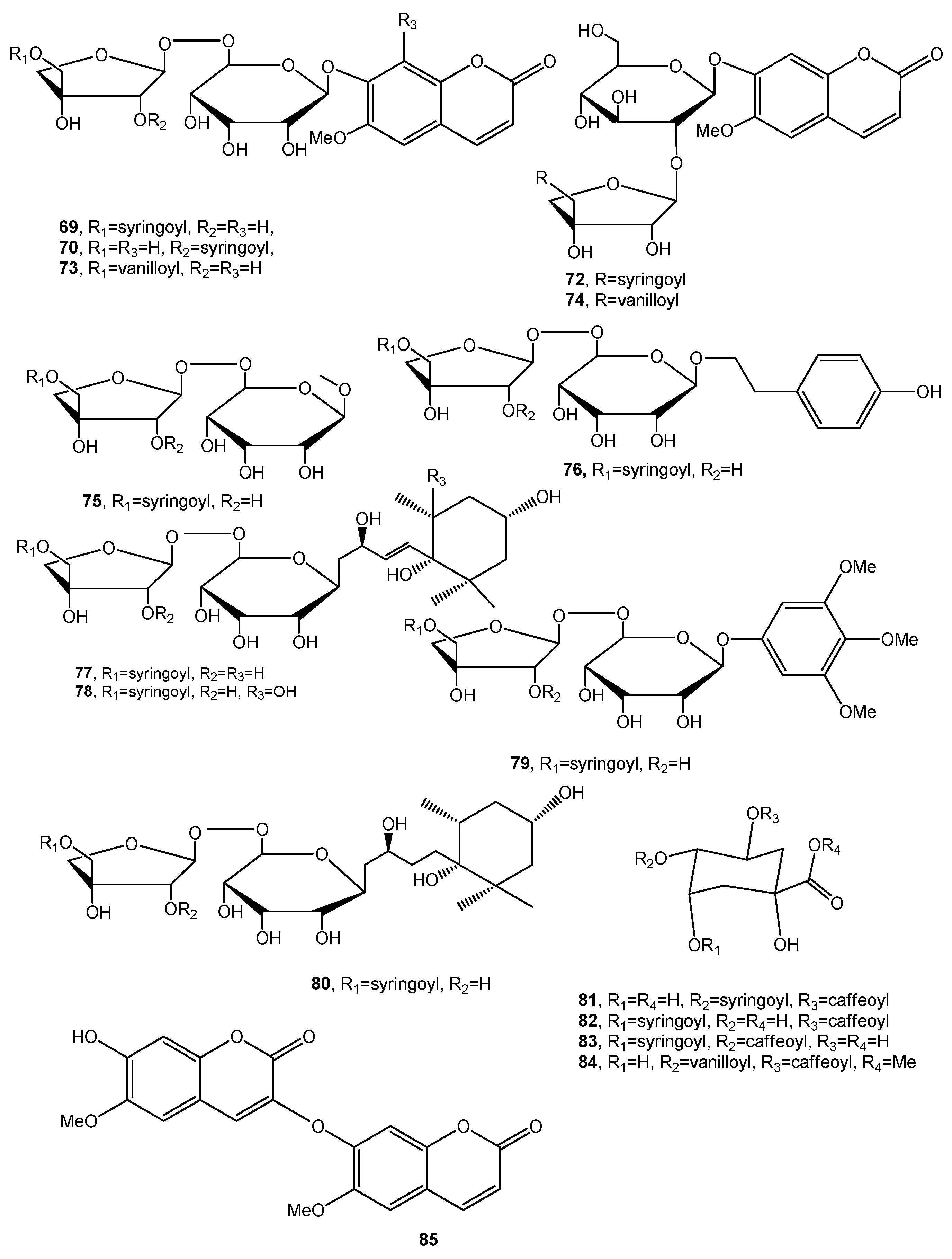 Biomolecules 11 01765 g006 Biomolecules 11 01765 g006