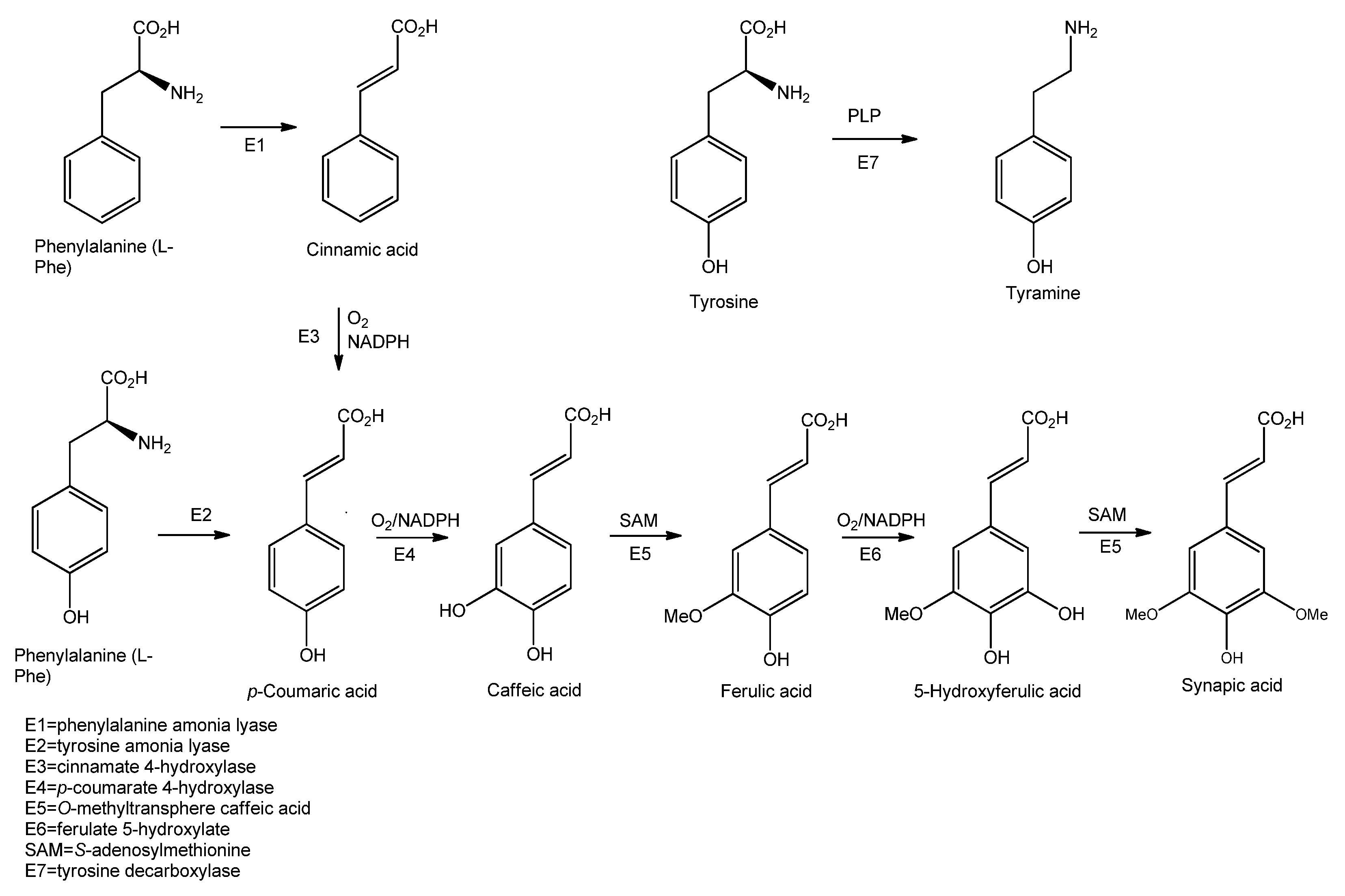 Biomolecules 11 01765 sch001 Biomolecules 11 01765 sch001