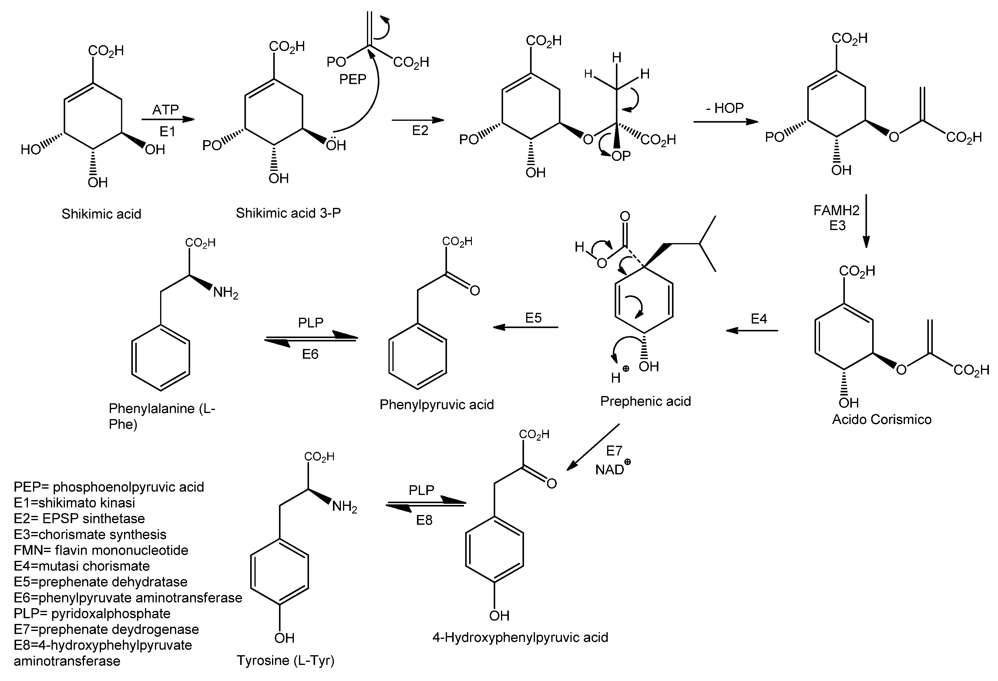 Biomolecules 11 01765 sch002 Biomolecules 11 01765 sch002