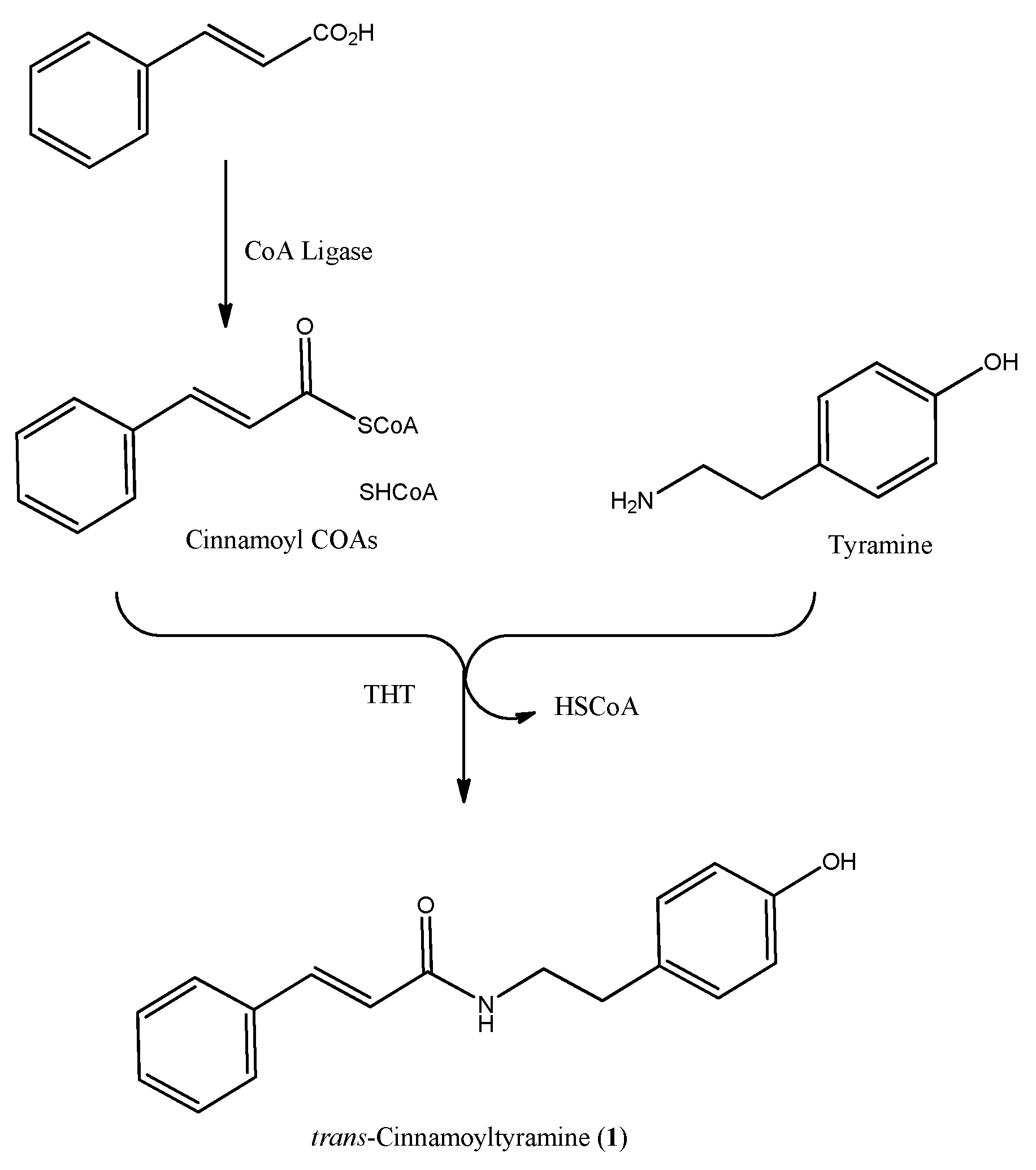 Biomolecules 11 01765 sch003 Biomolecules 11 01765 sch003