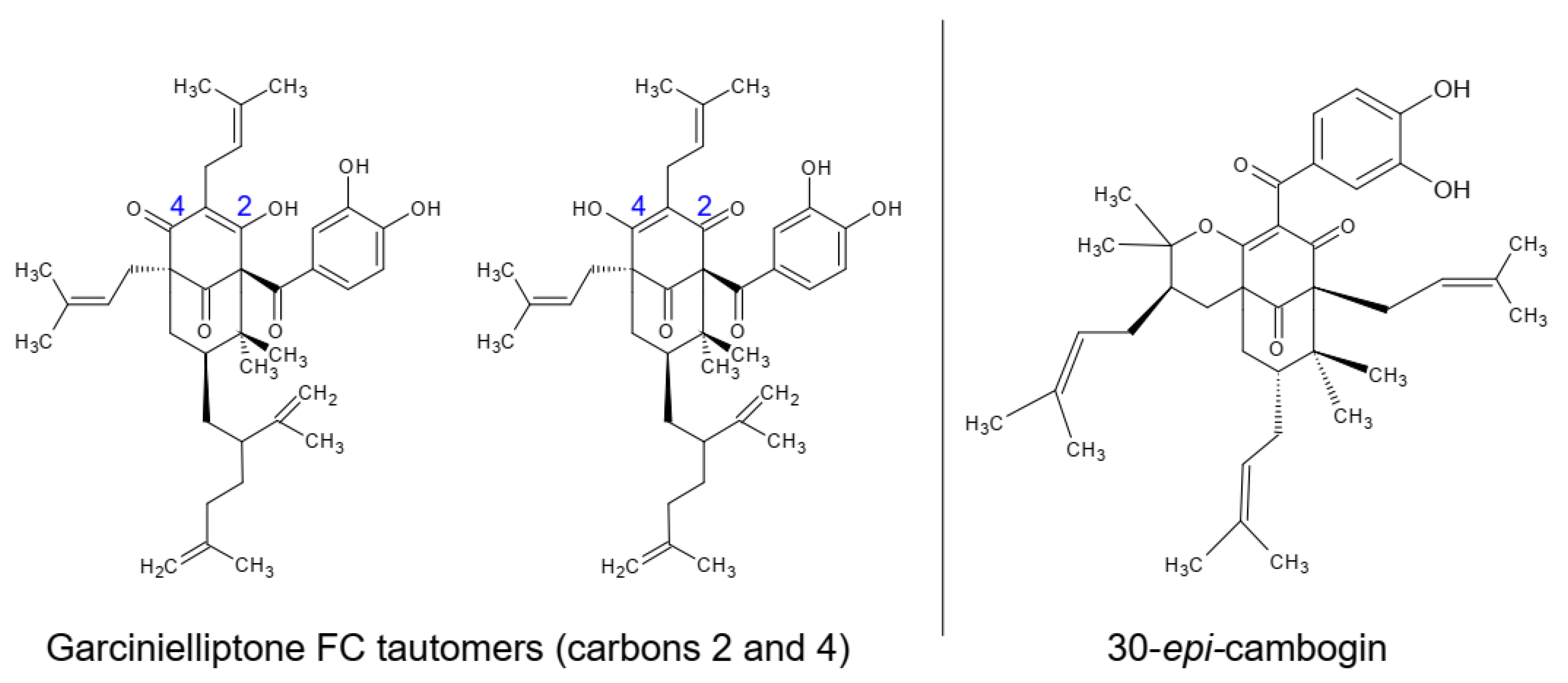 Biomolecules 11 01767 g001 Biomolecules 11 01767 g001