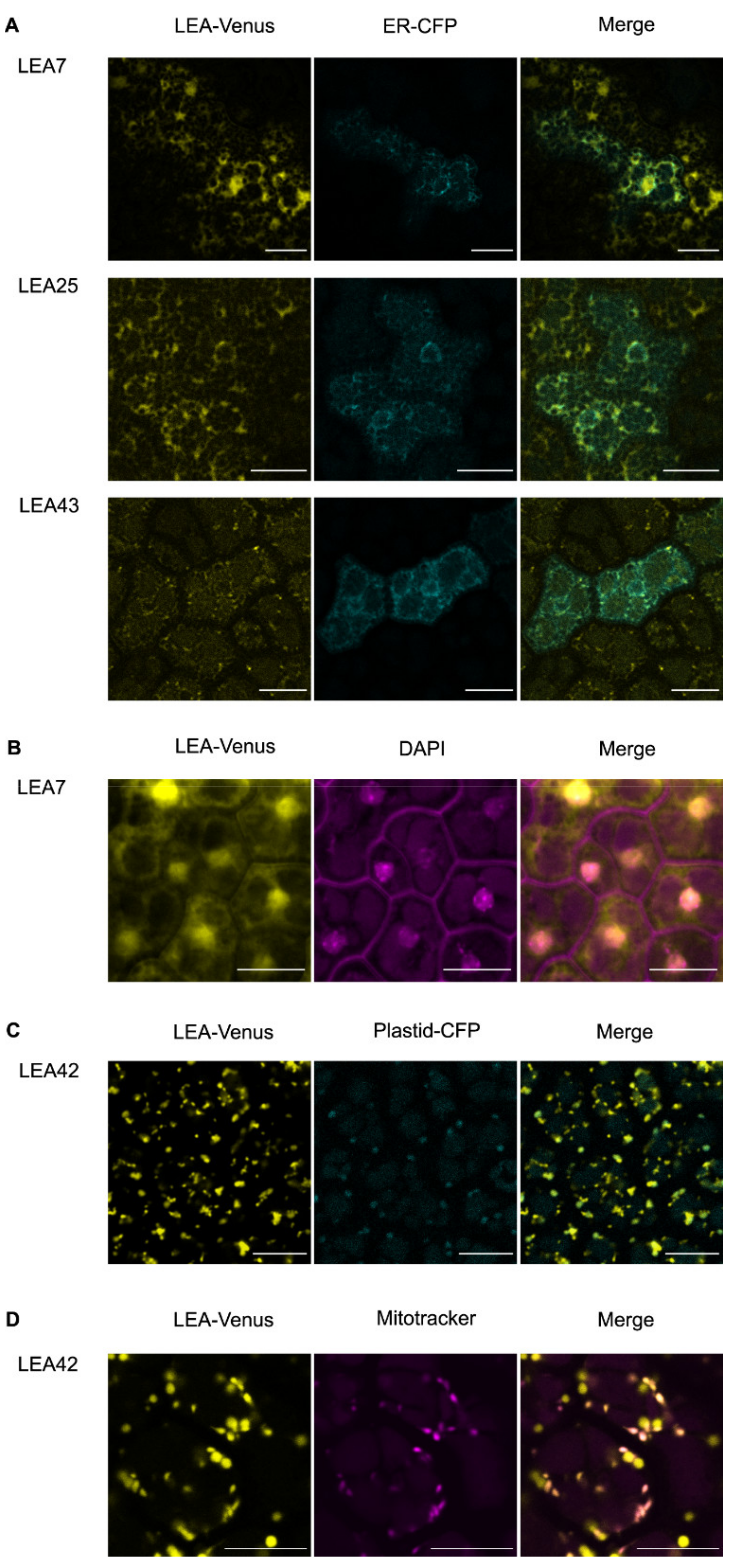 Biomolecules 11 01770 g001 Biomolecules 11 01770 g001