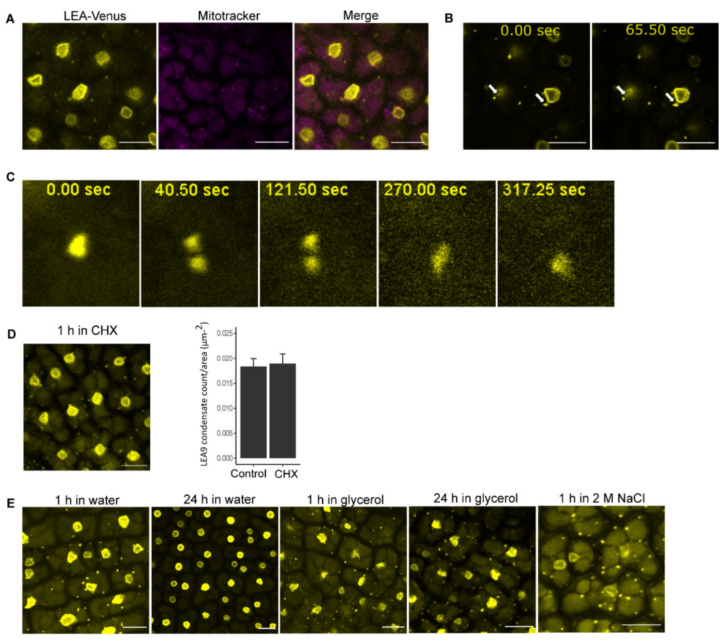 Biomolecules 11 01770 g002 Biomolecules 11 01770 g002