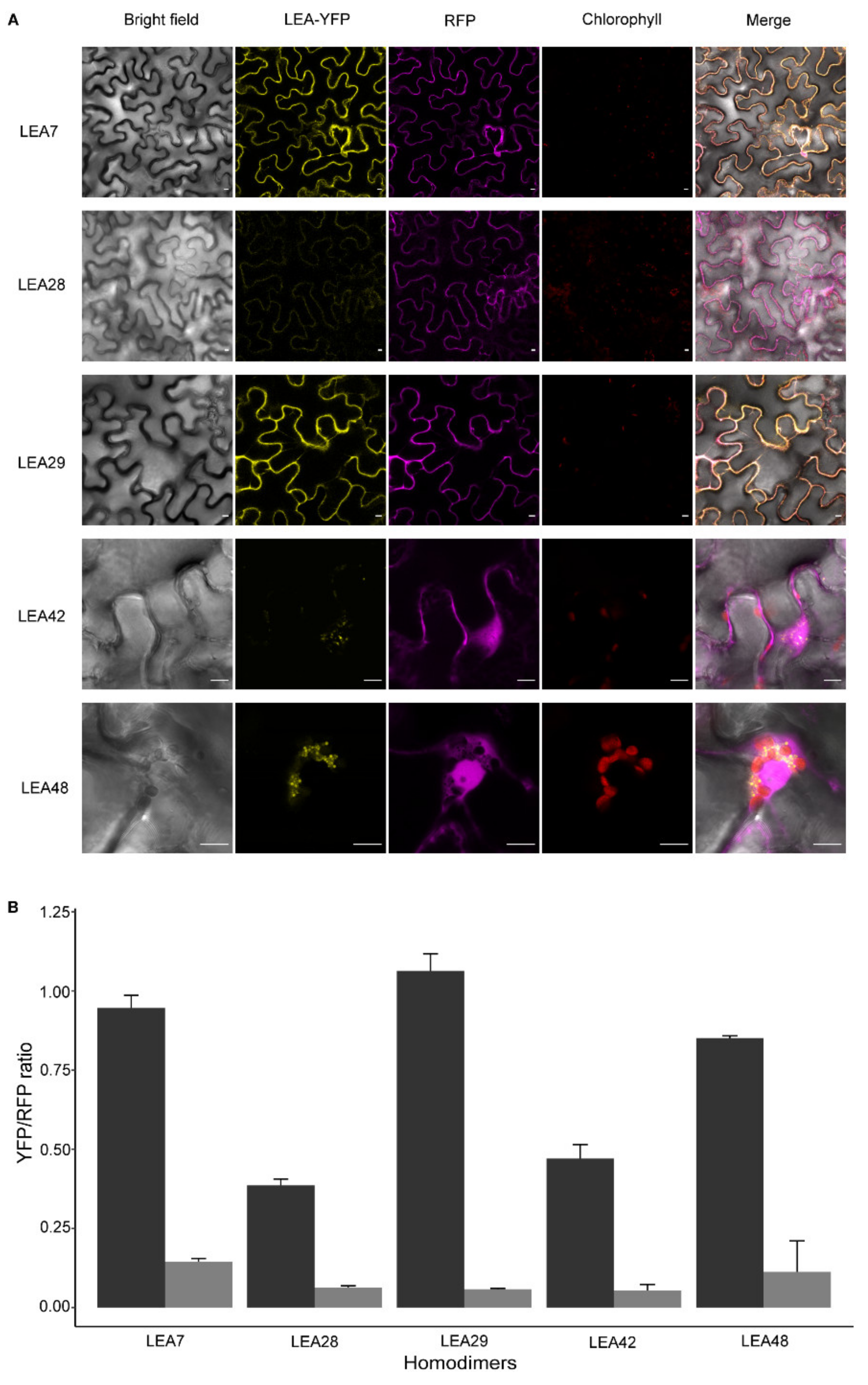Biomolecules 11 01770 g003 Biomolecules 11 01770 g003