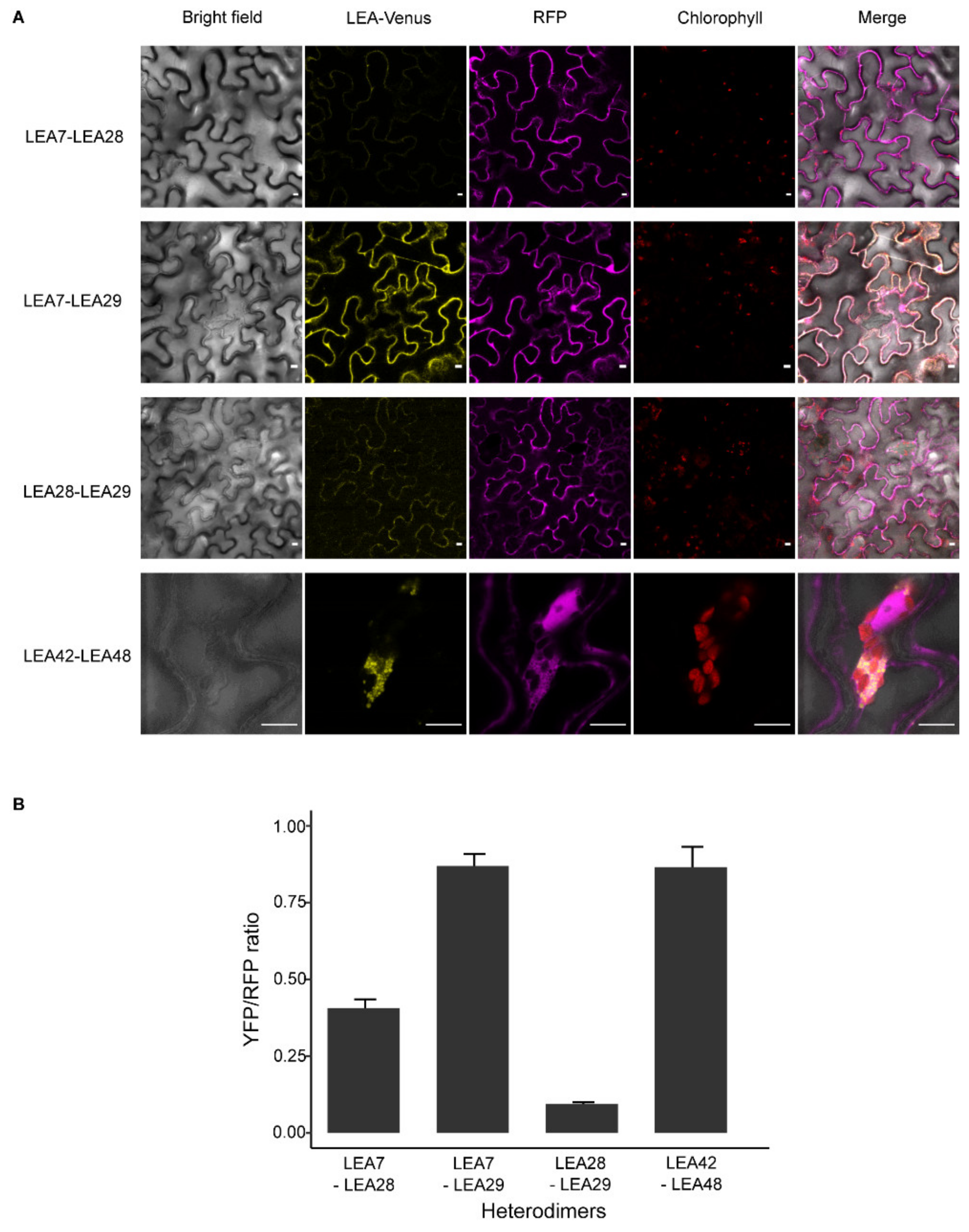 Biomolecules 11 01770 g004 Biomolecules 11 01770 g004