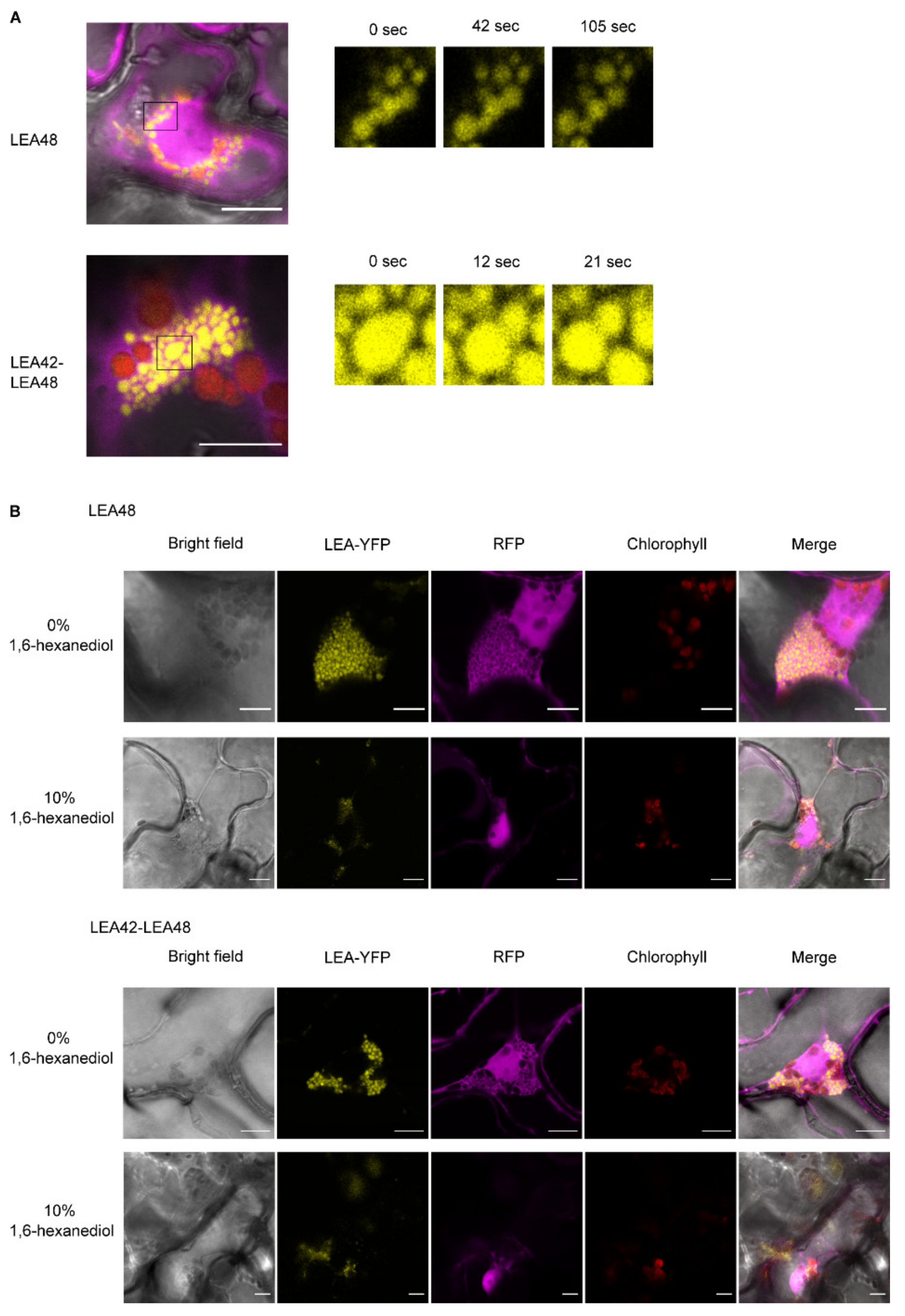 Biomolecules 11 01770 g005 Biomolecules 11 01770 g005