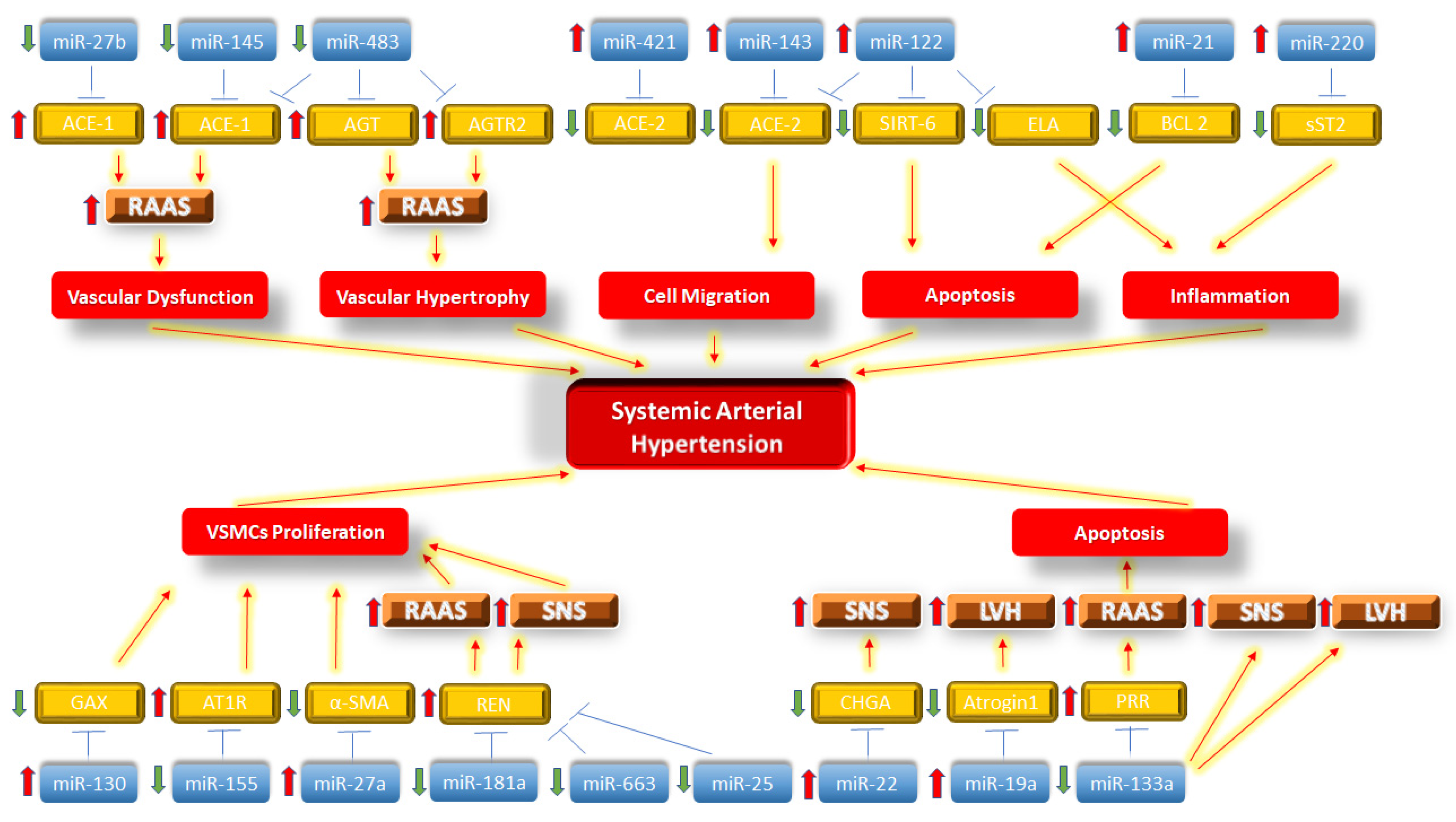 Biomolecules 11 01771 g001 Biomolecules 11 01771 g001