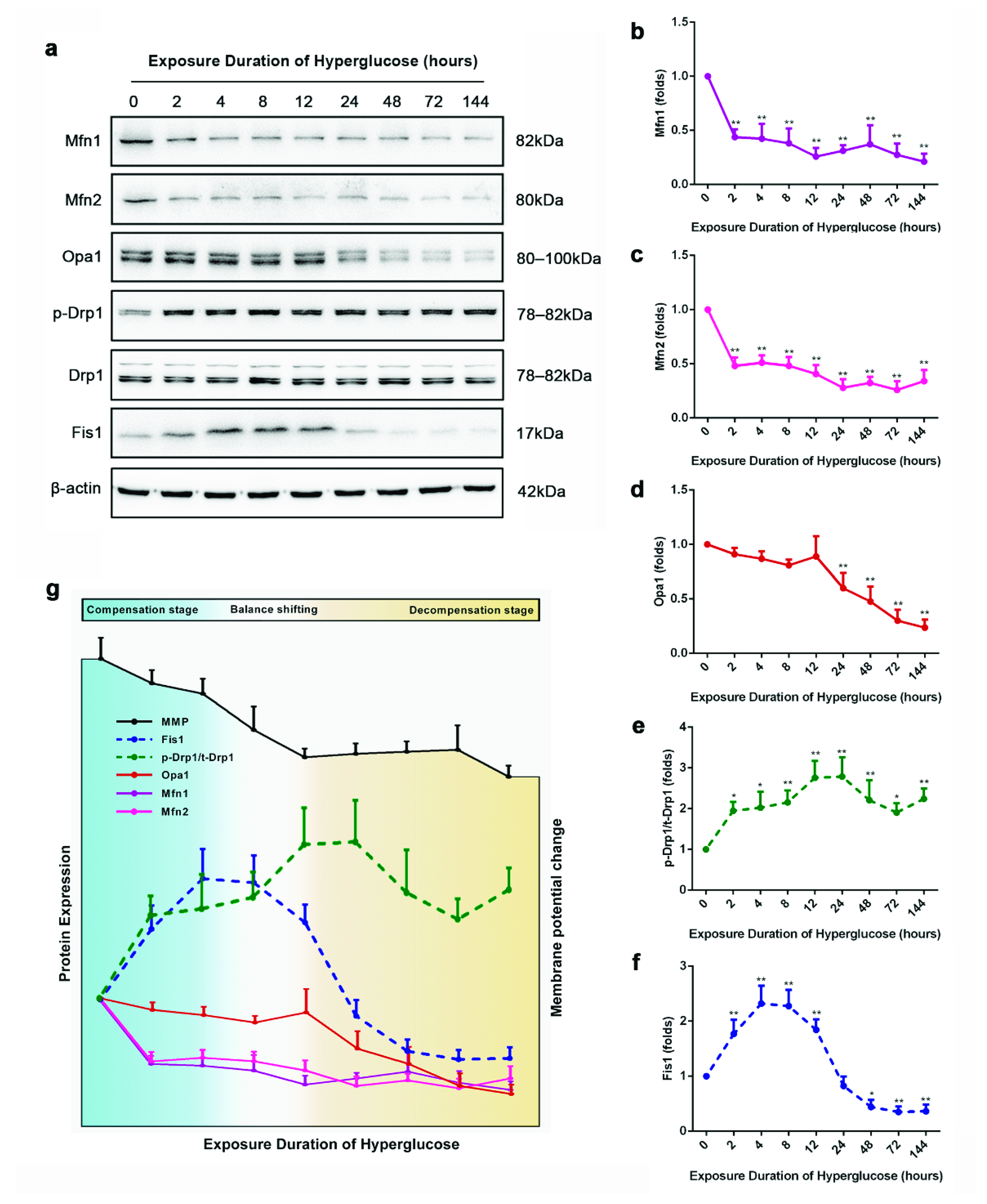 Biomolecules 11 01779 g002