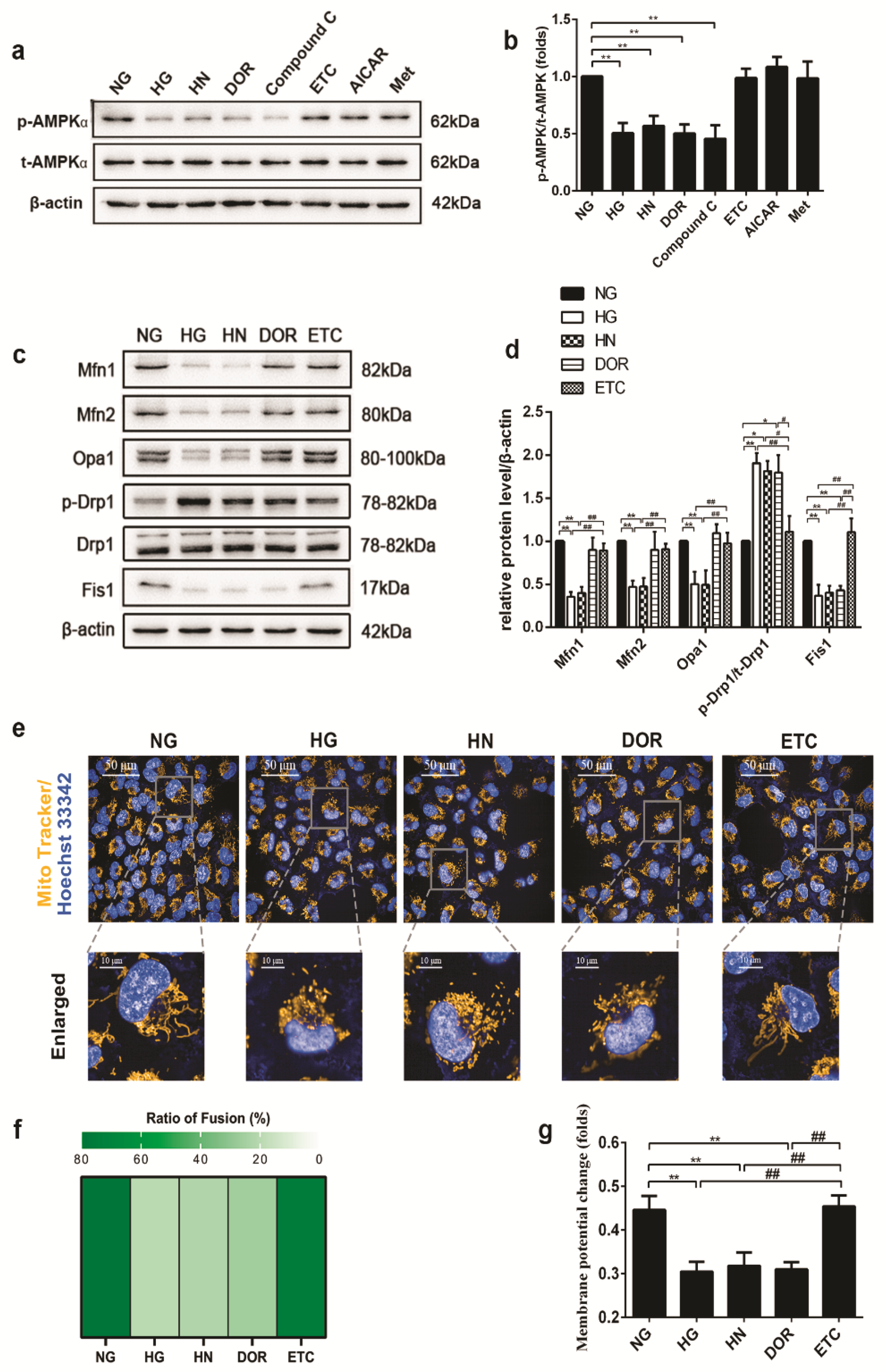Biomolecules 11 01779 g007