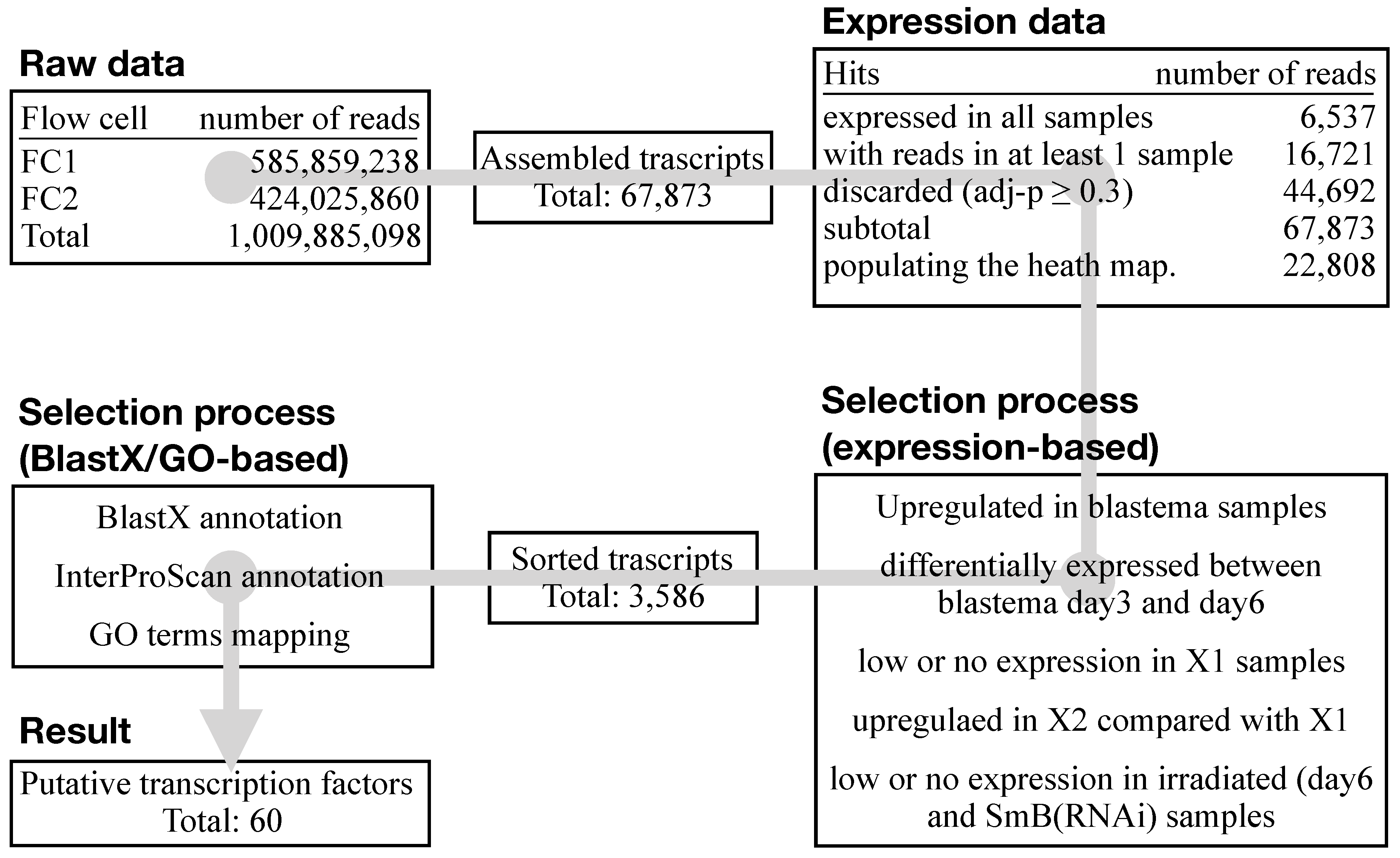 Biomolecules 11 01782 g003 Biomolecules 11 01782 g003