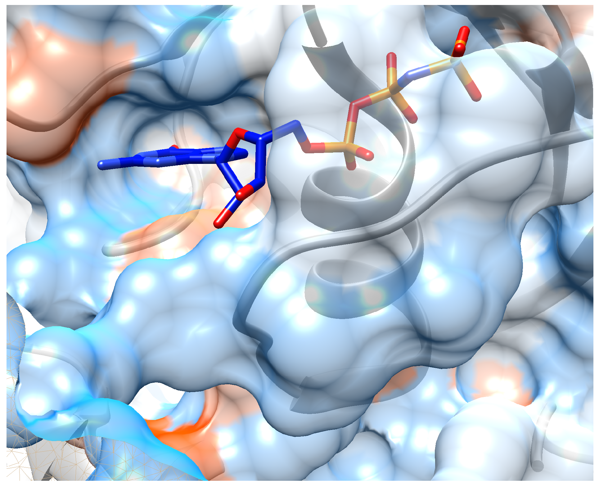 Biomolecules 11 01783 g008