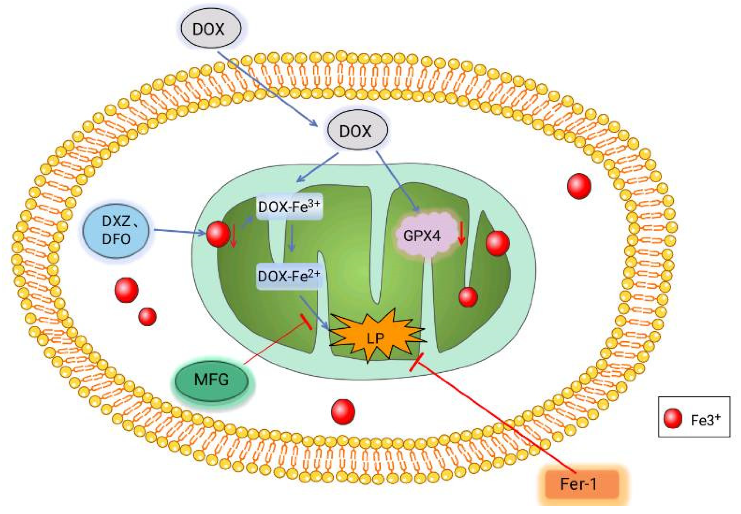 Biomolecules 11 01790 g002