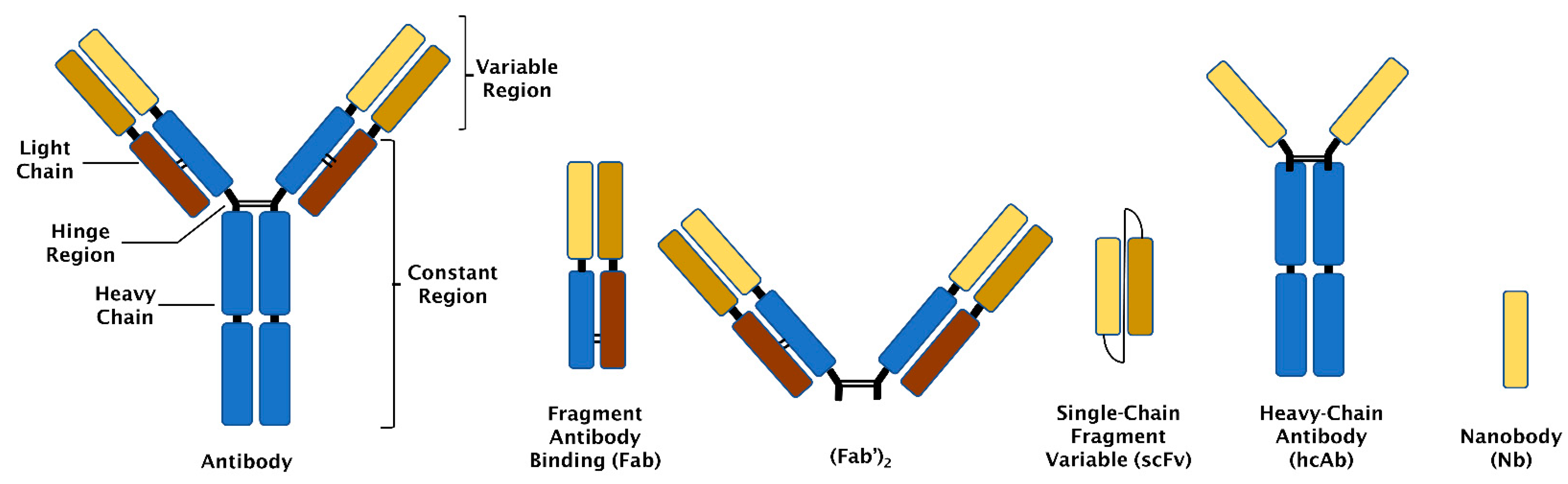Biomolecules 11 01791 g001