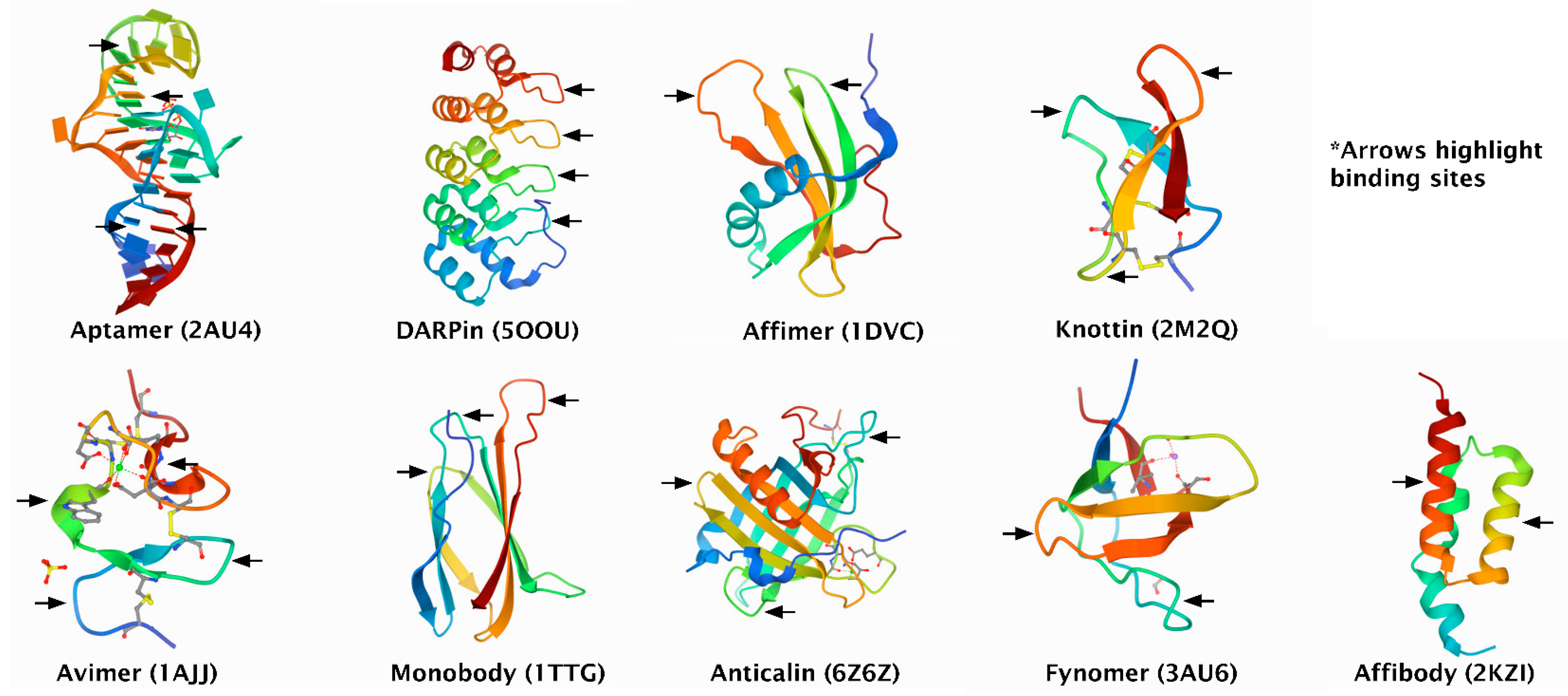 Biomolecules 11 01791 g002