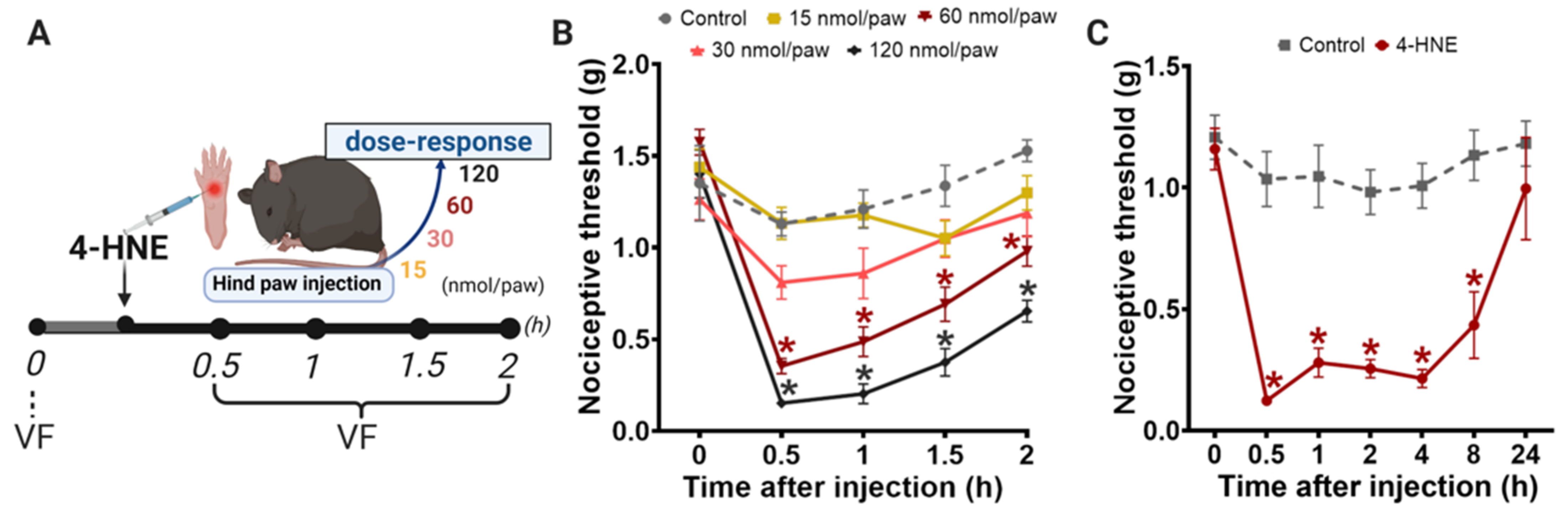 Biomolecules 11 01798 g001