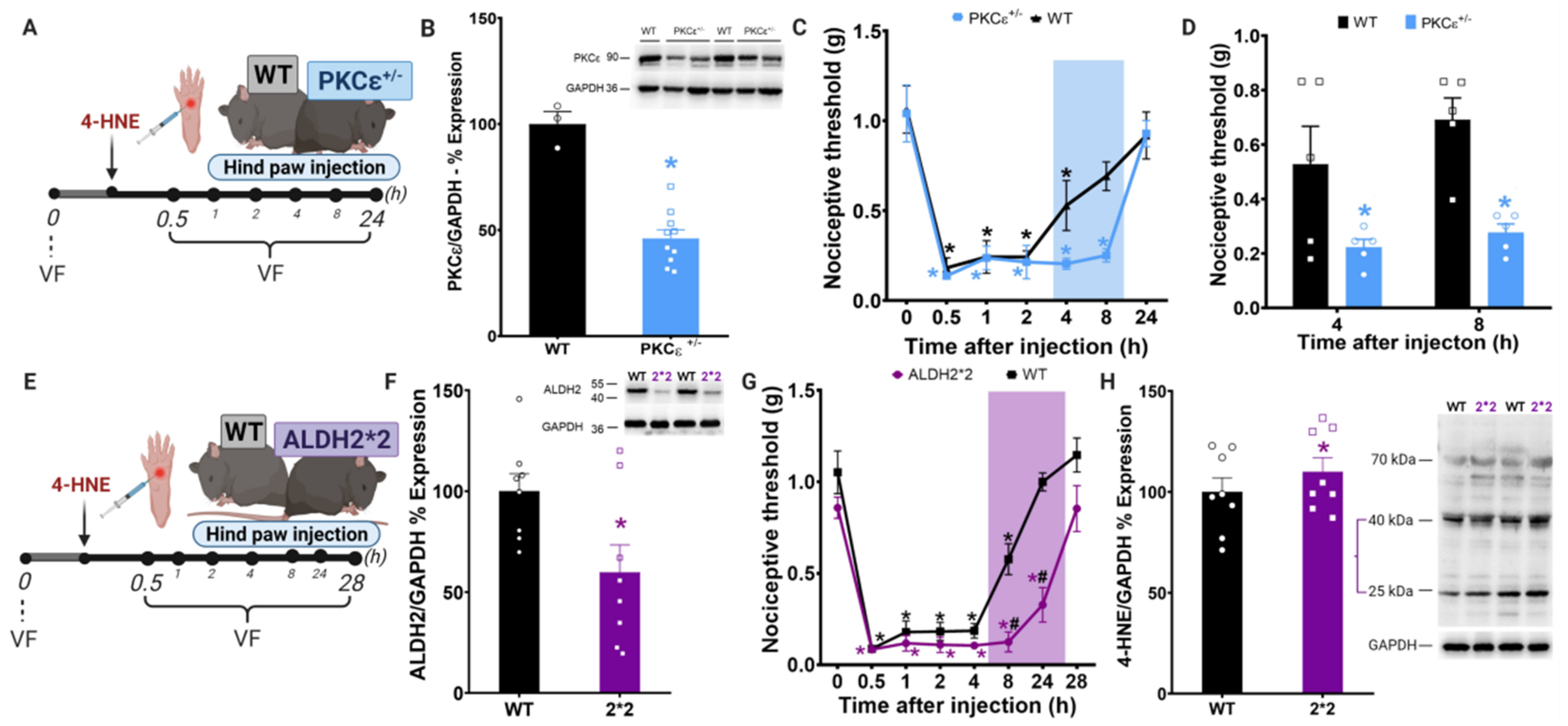 Biomolecules 11 01798 g002