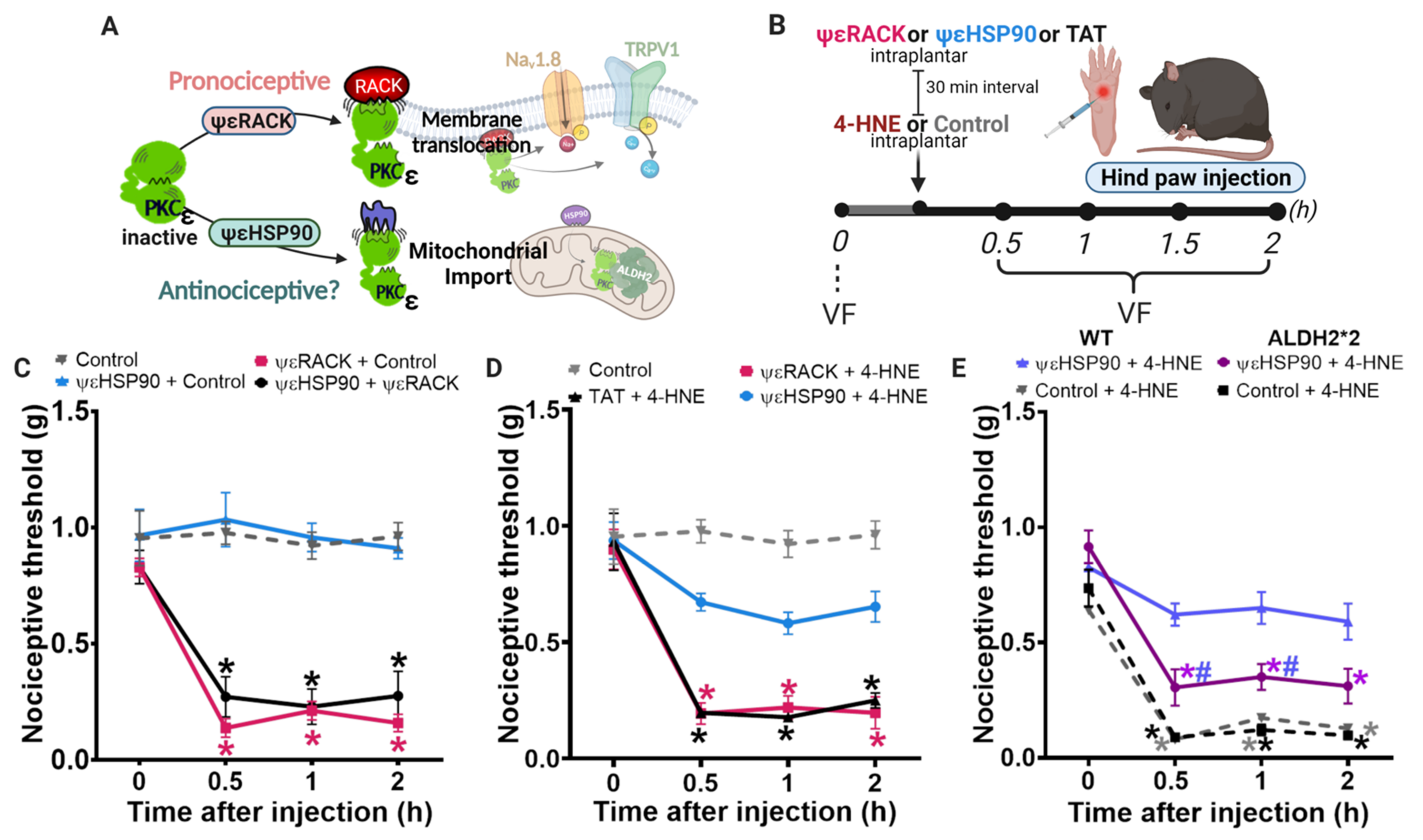 Biomolecules 11 01798 g003