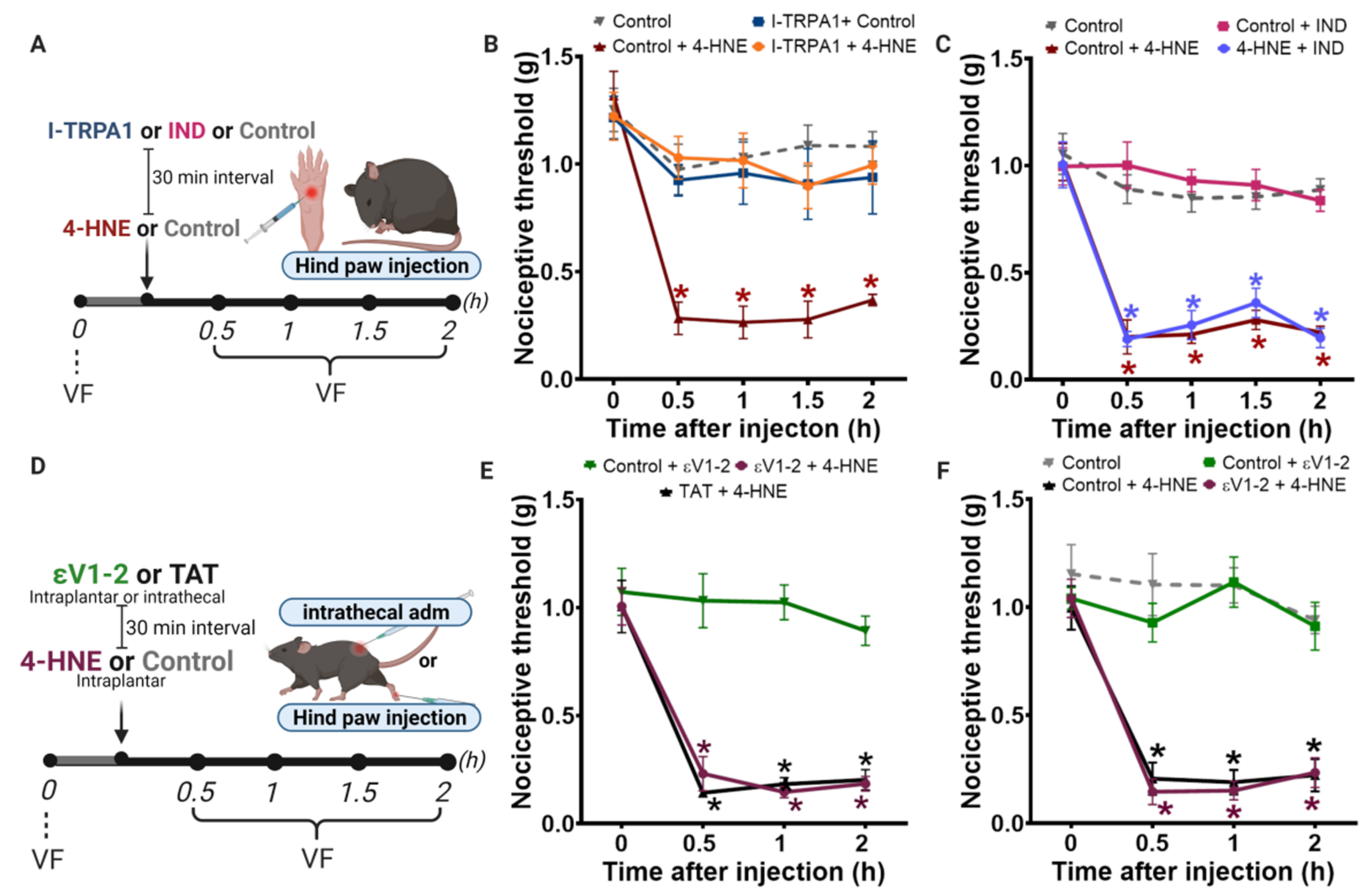 Biomolecules 11 01798 g005