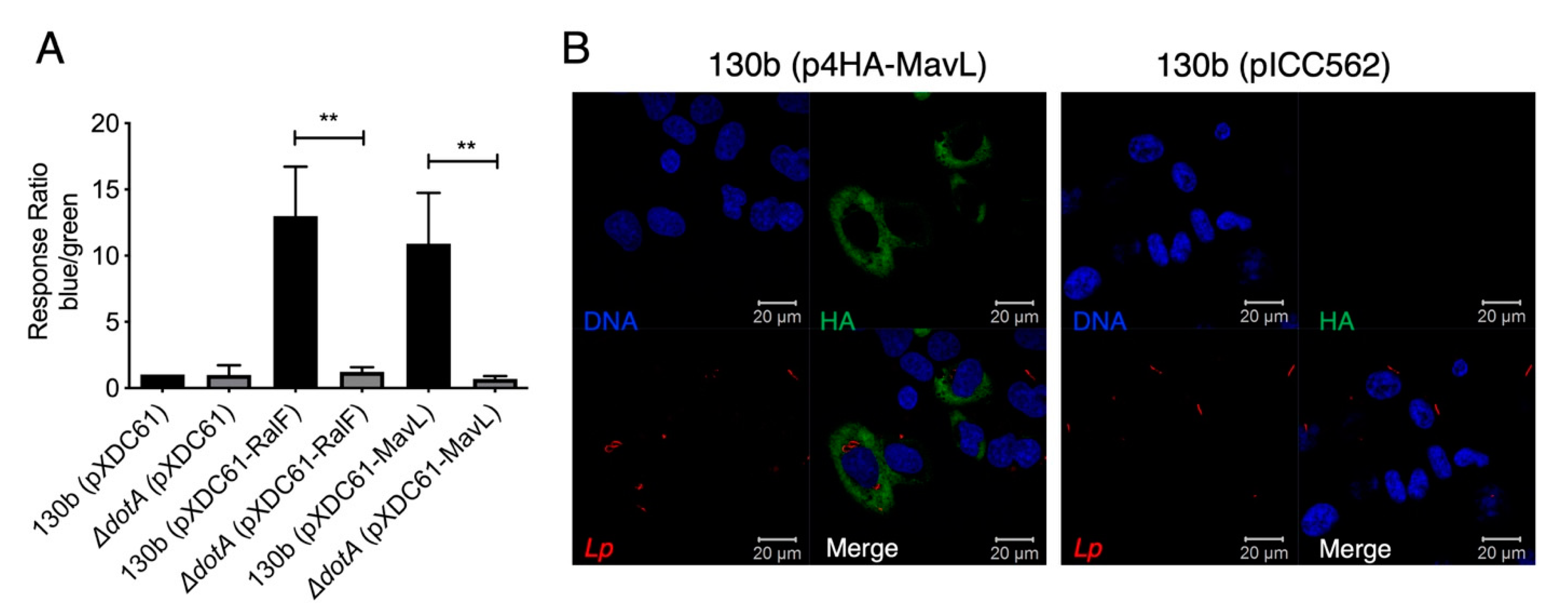 Biomolecules 11 01802 g001