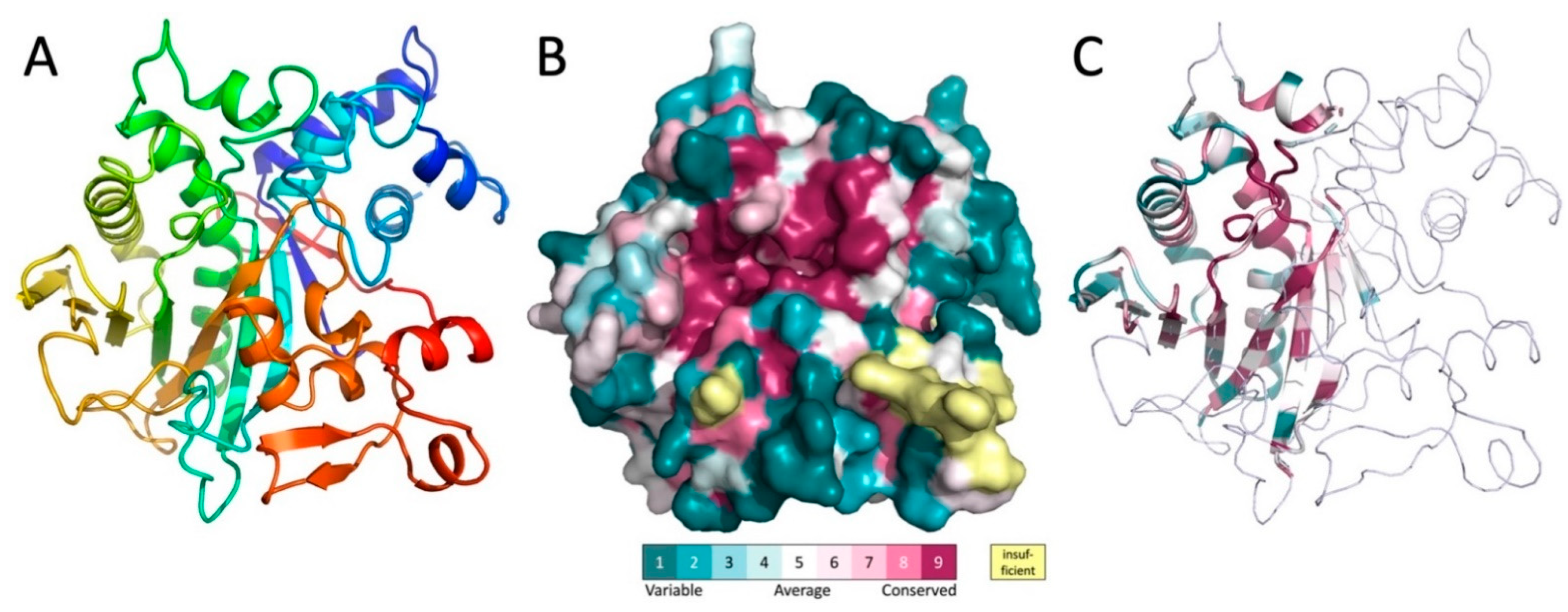 Biomolecules 11 01802 g003