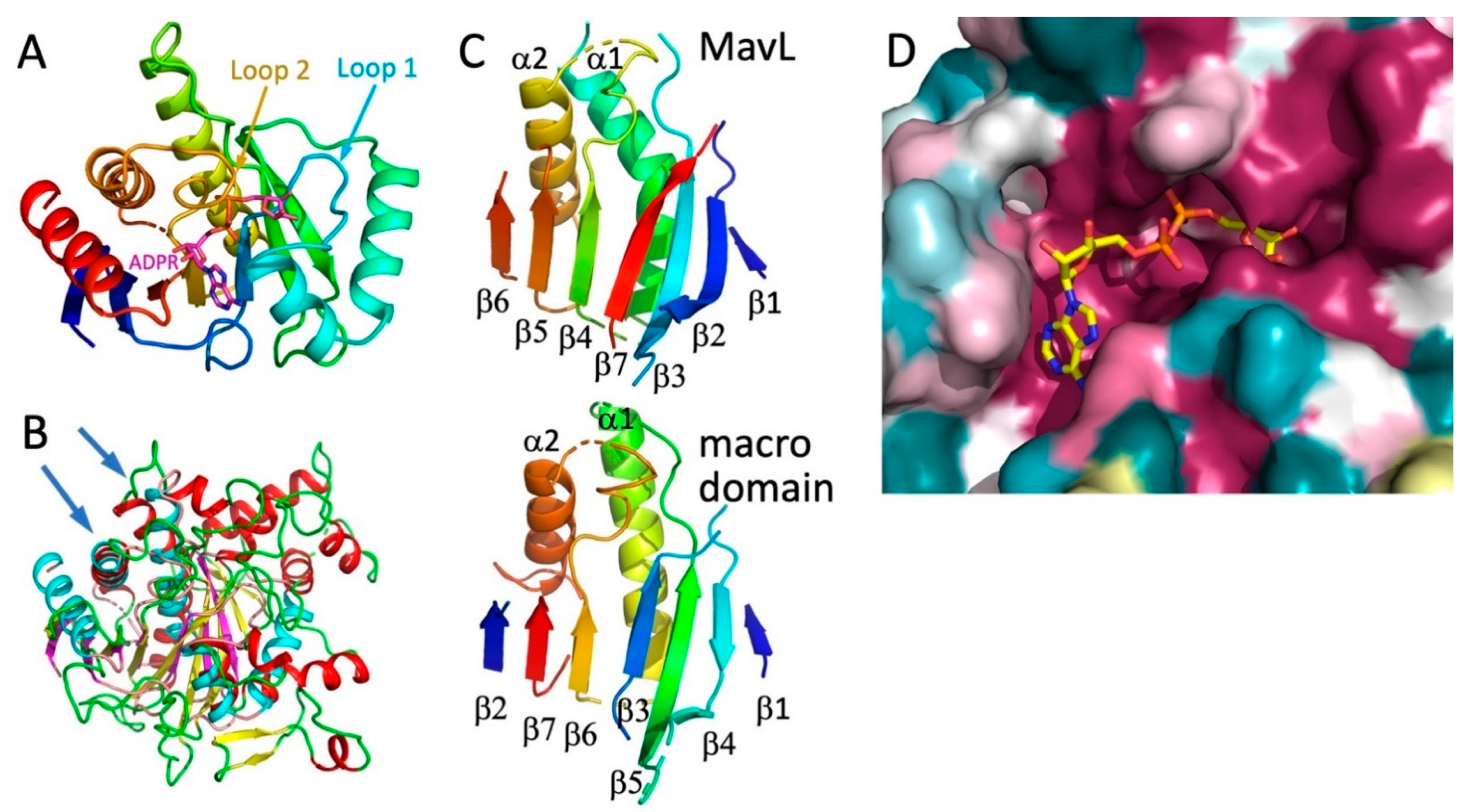 Biomolecules 11 01802 g004
