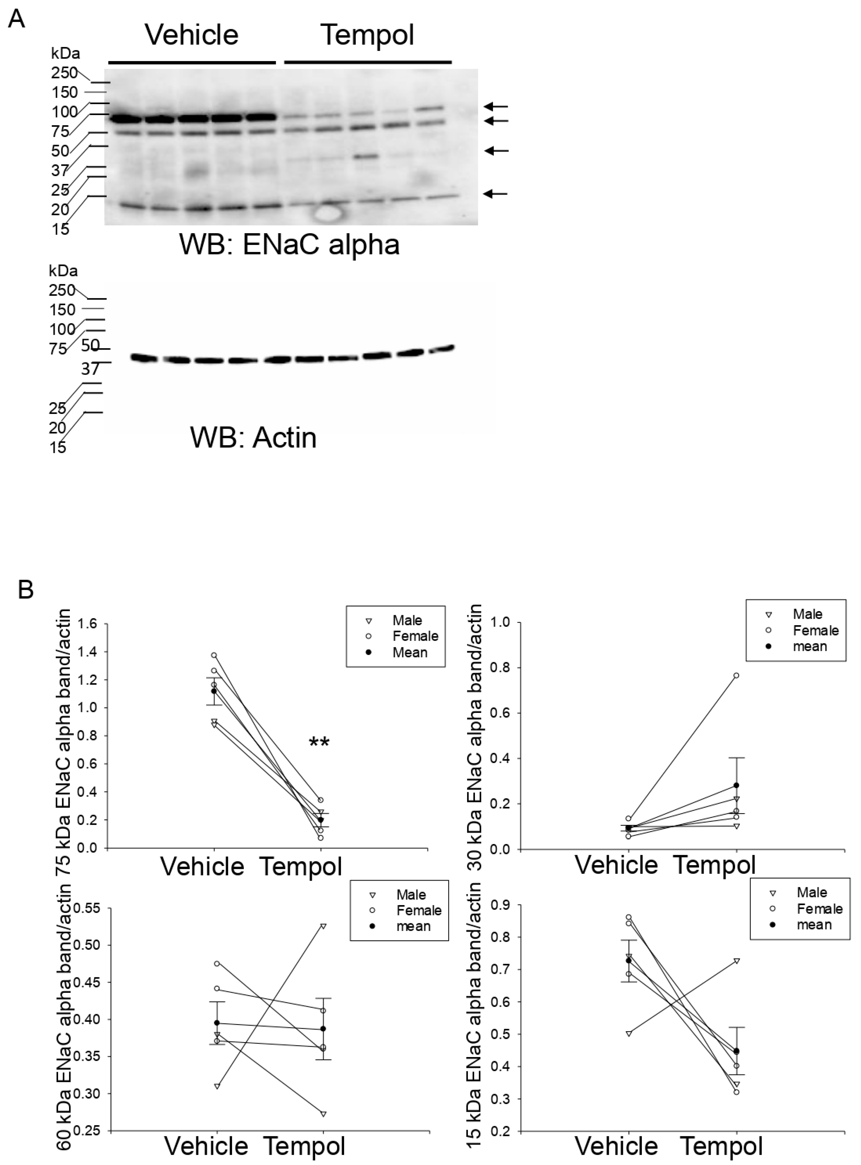 Biomolecules 11 01804 g006