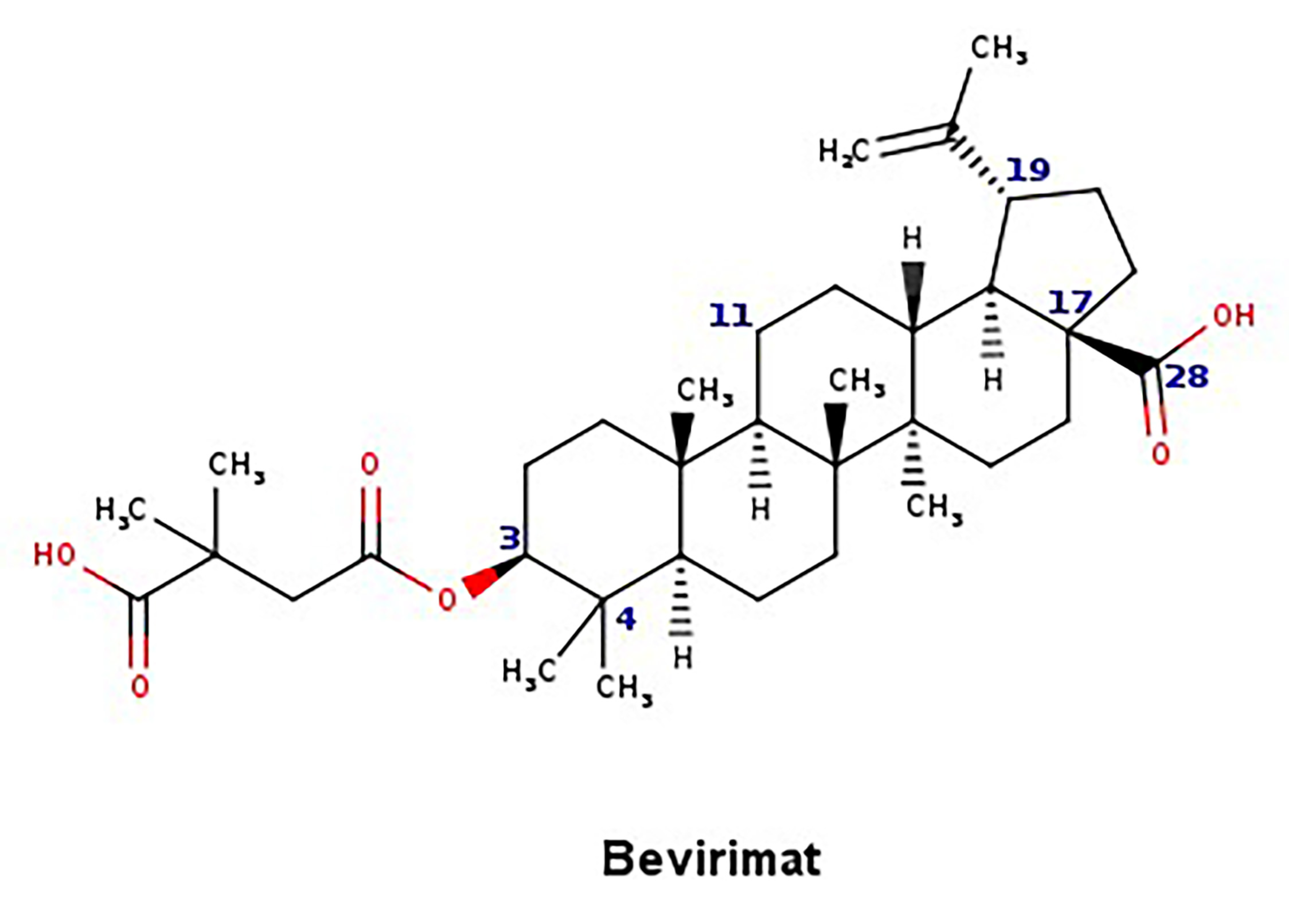Biomolecules 11 01805 g003 Biomolecules 11 01805 g003