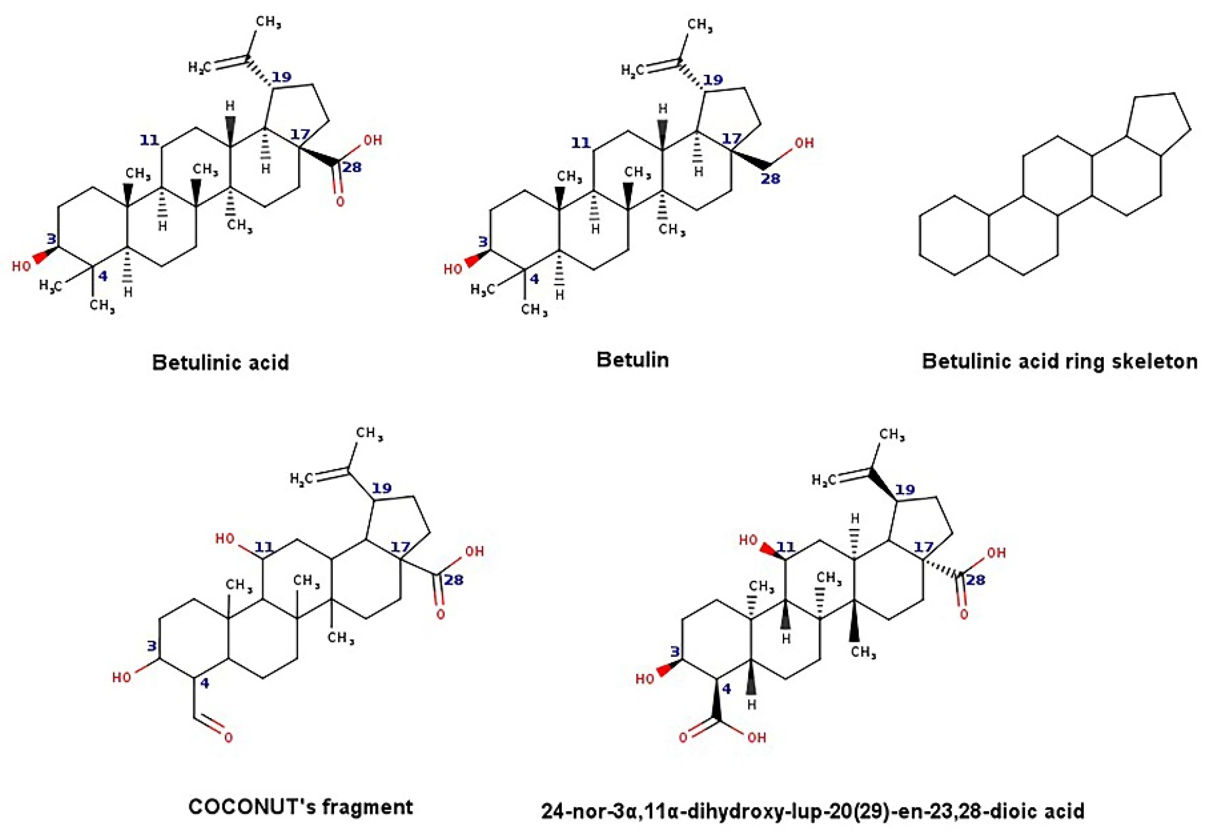 Biomolecules 11 01805 g004 Biomolecules 11 01805 g004