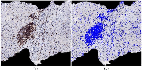 Biomolecules 11 01808 g0a1a 550
