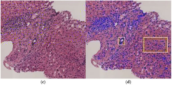 Biomolecules 11 01808 g0a1b 550
