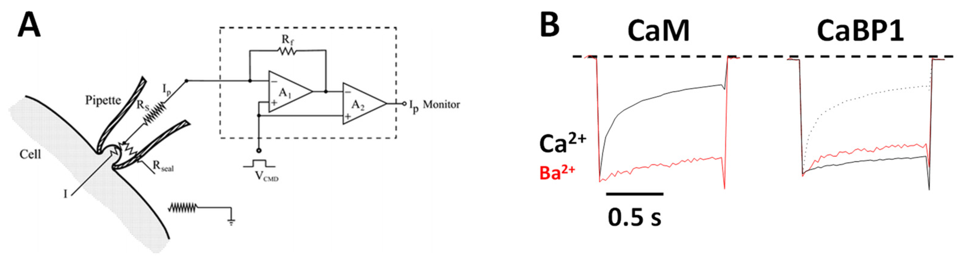 Biomolecules 11 01811 g002