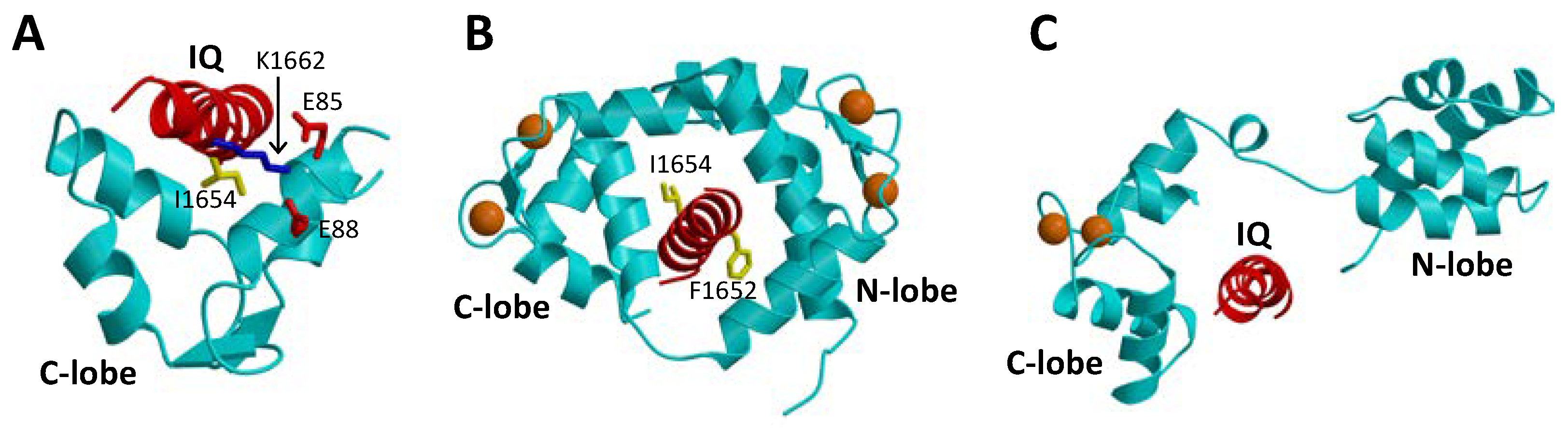 Biomolecules 11 01811 g003