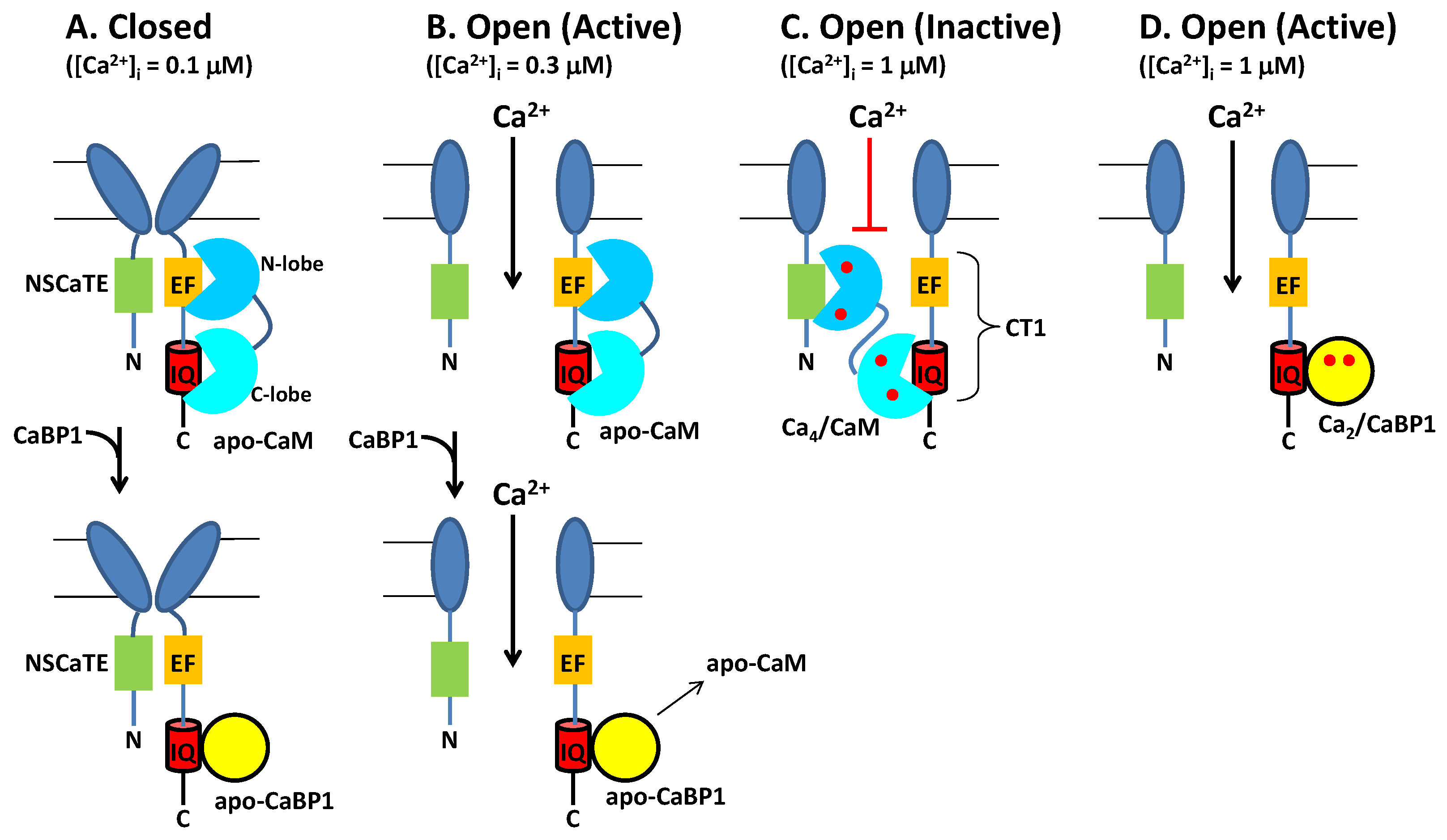 Biomolecules 11 01811 g004