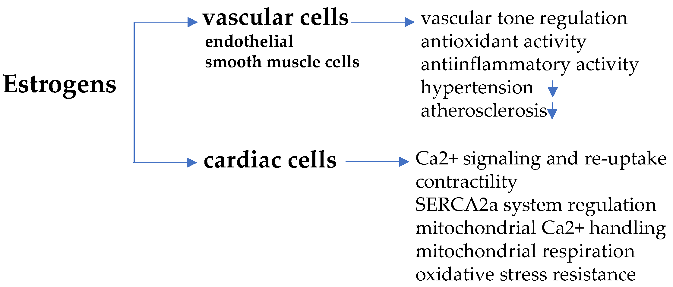Biomolecules 11 01815 g001 Biomolecules 11 01815 g001