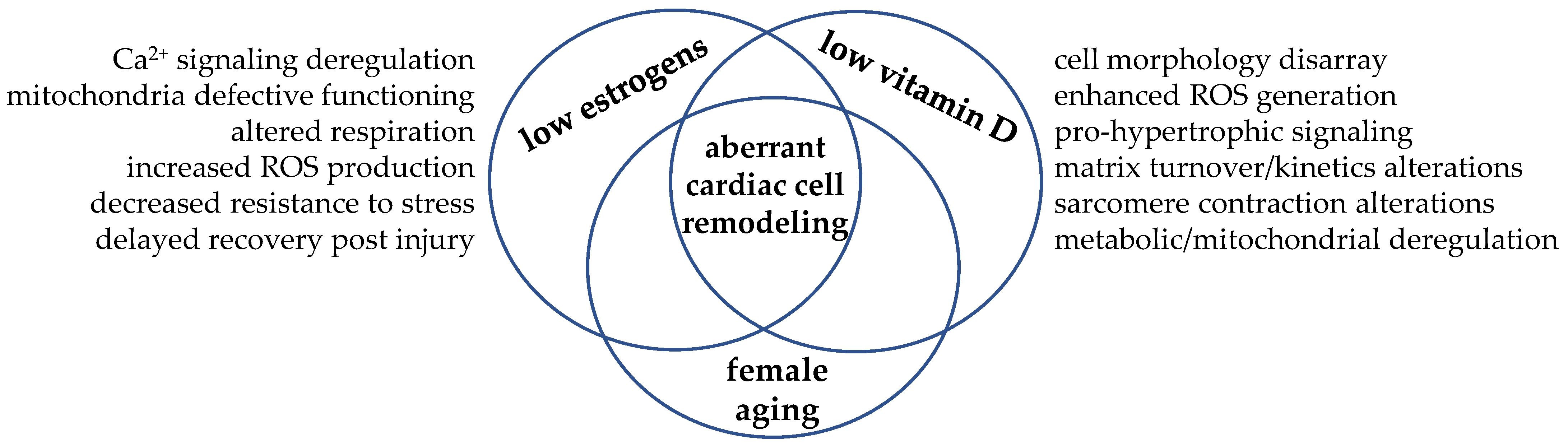 Biomolecules 11 01815 g004 Biomolecules 11 01815 g004
