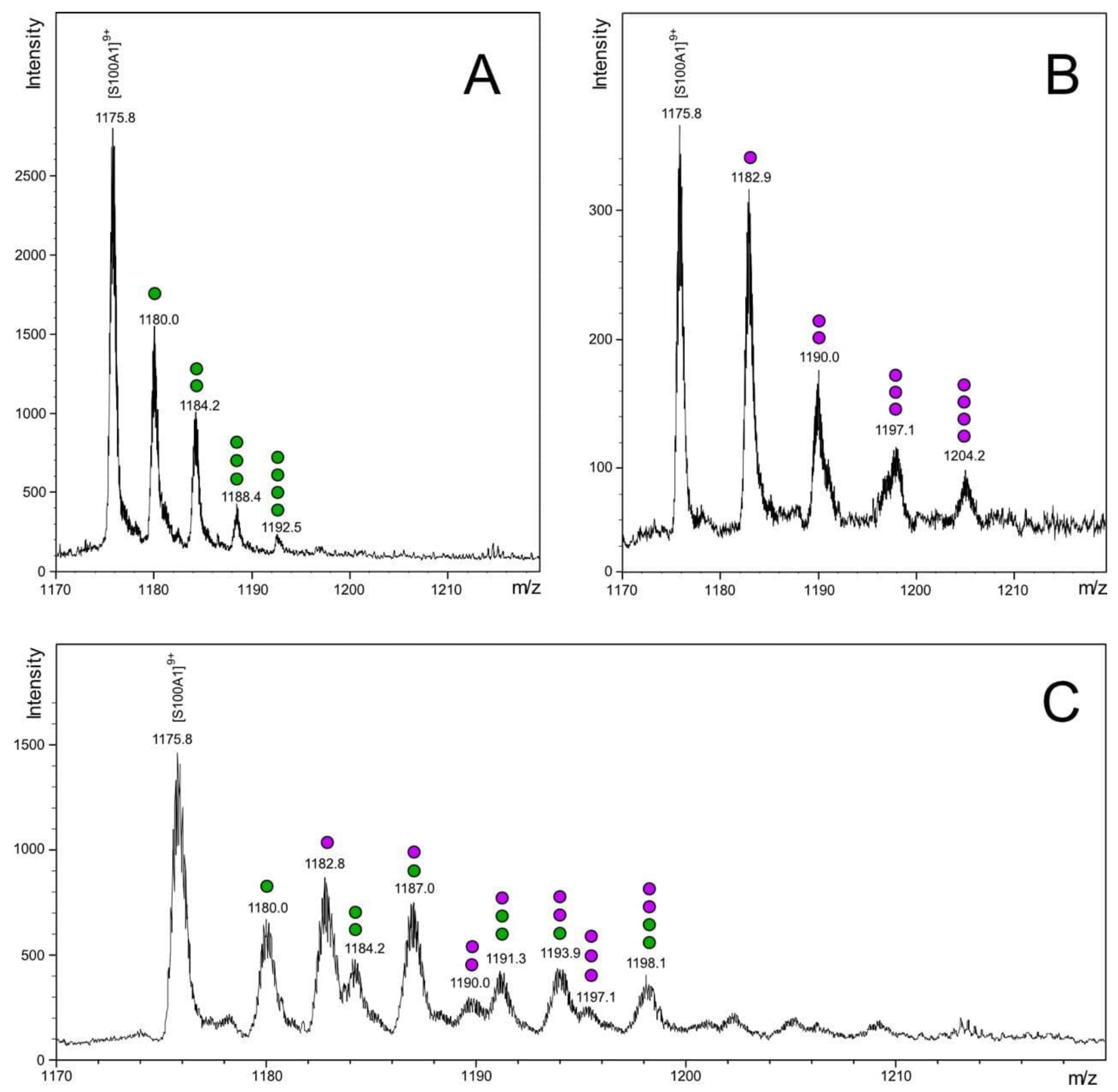 Biomolecules 11 01823 g001